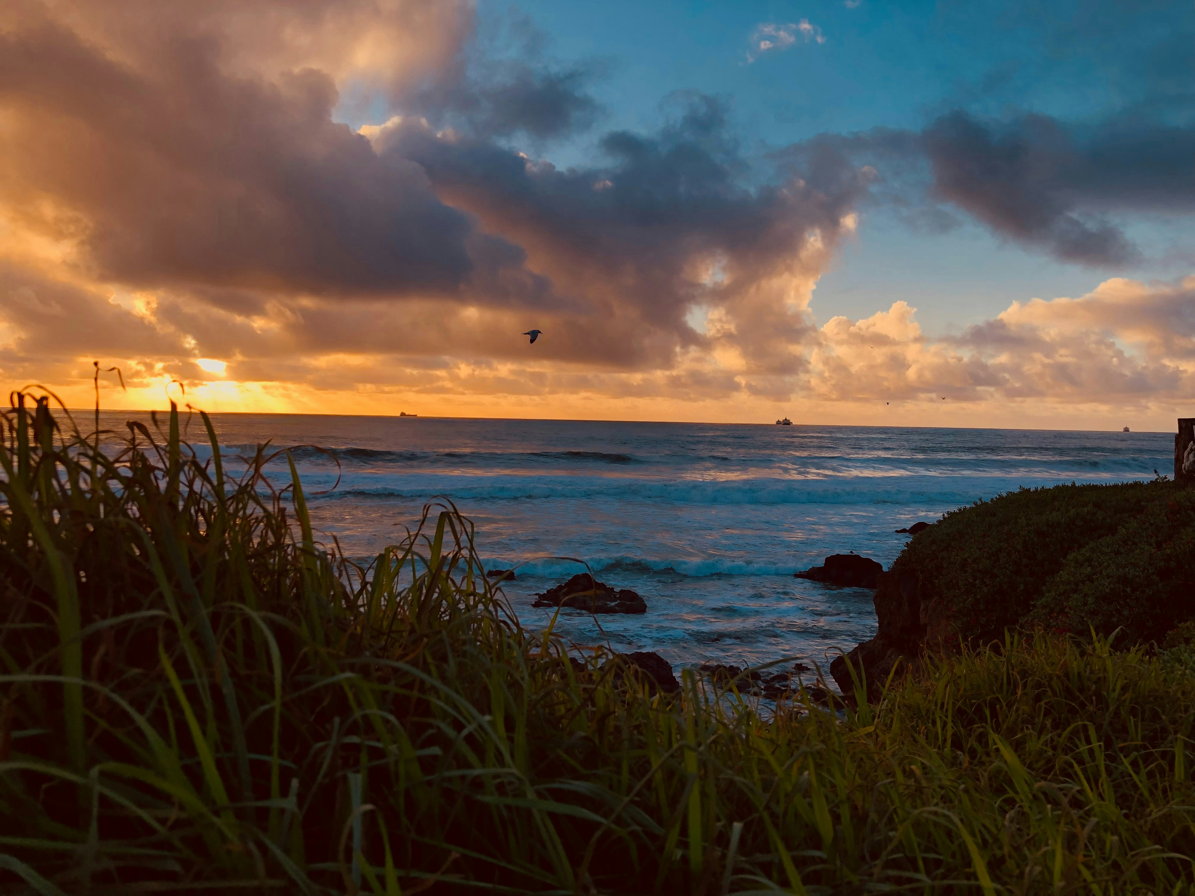 Photo by nessaphotography