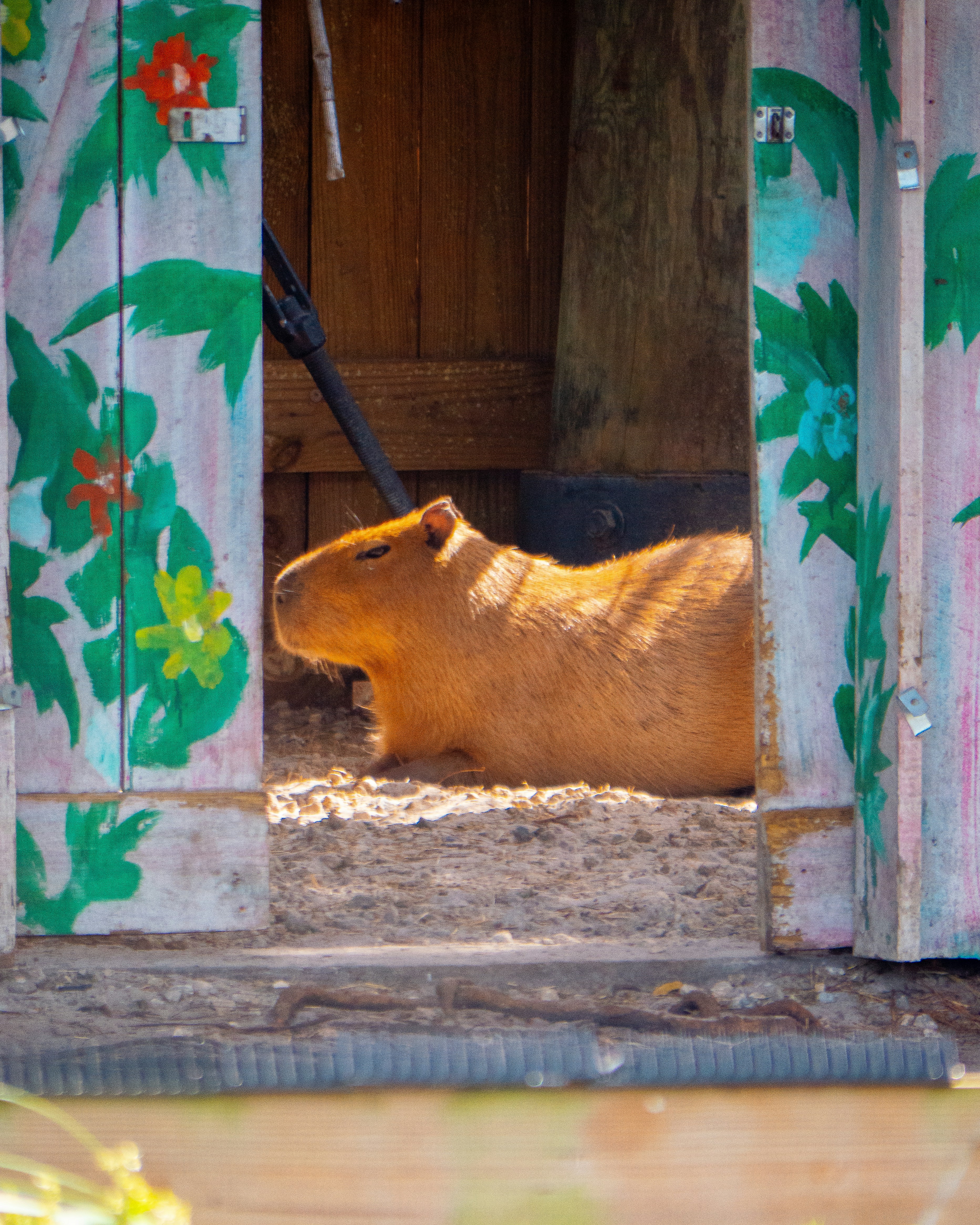 Grafika komputerowa w projektowaniu 3D - Zajęcia 3