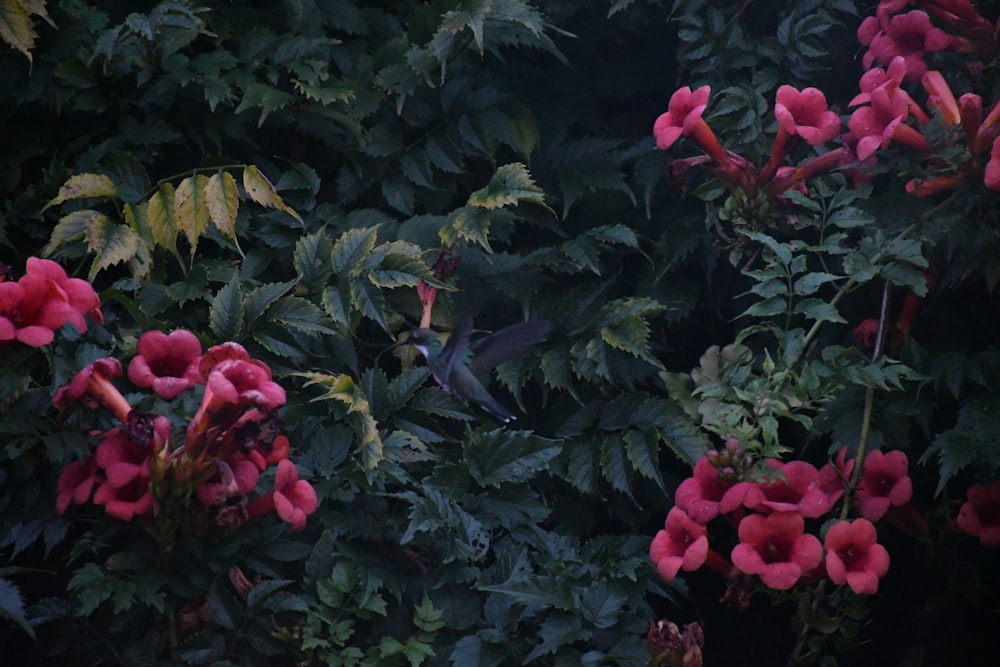 a bird is sitting on a branch of a tree