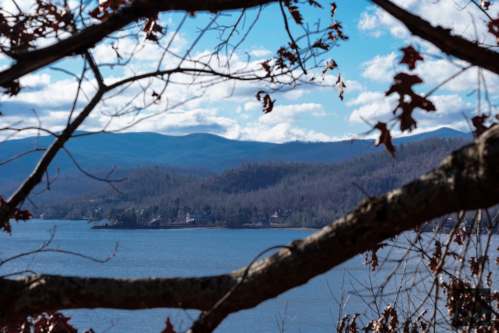 a view of a lake with mountains in the background