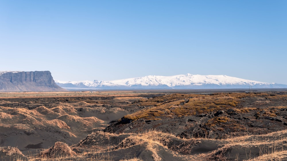 a desert landscape with a mountain in the background