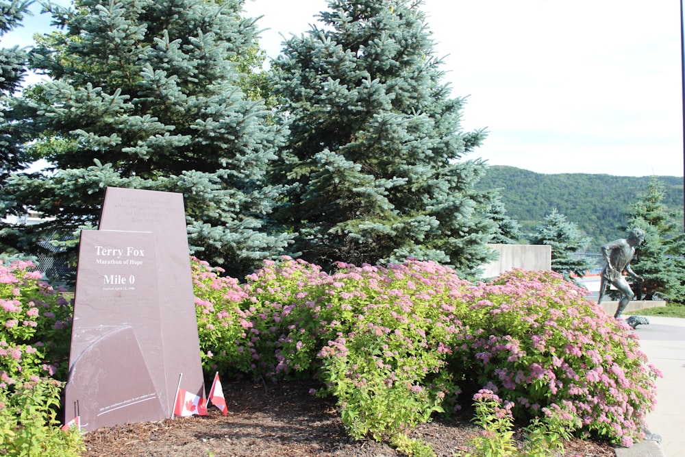 a sign sitting in the middle of a flower garden