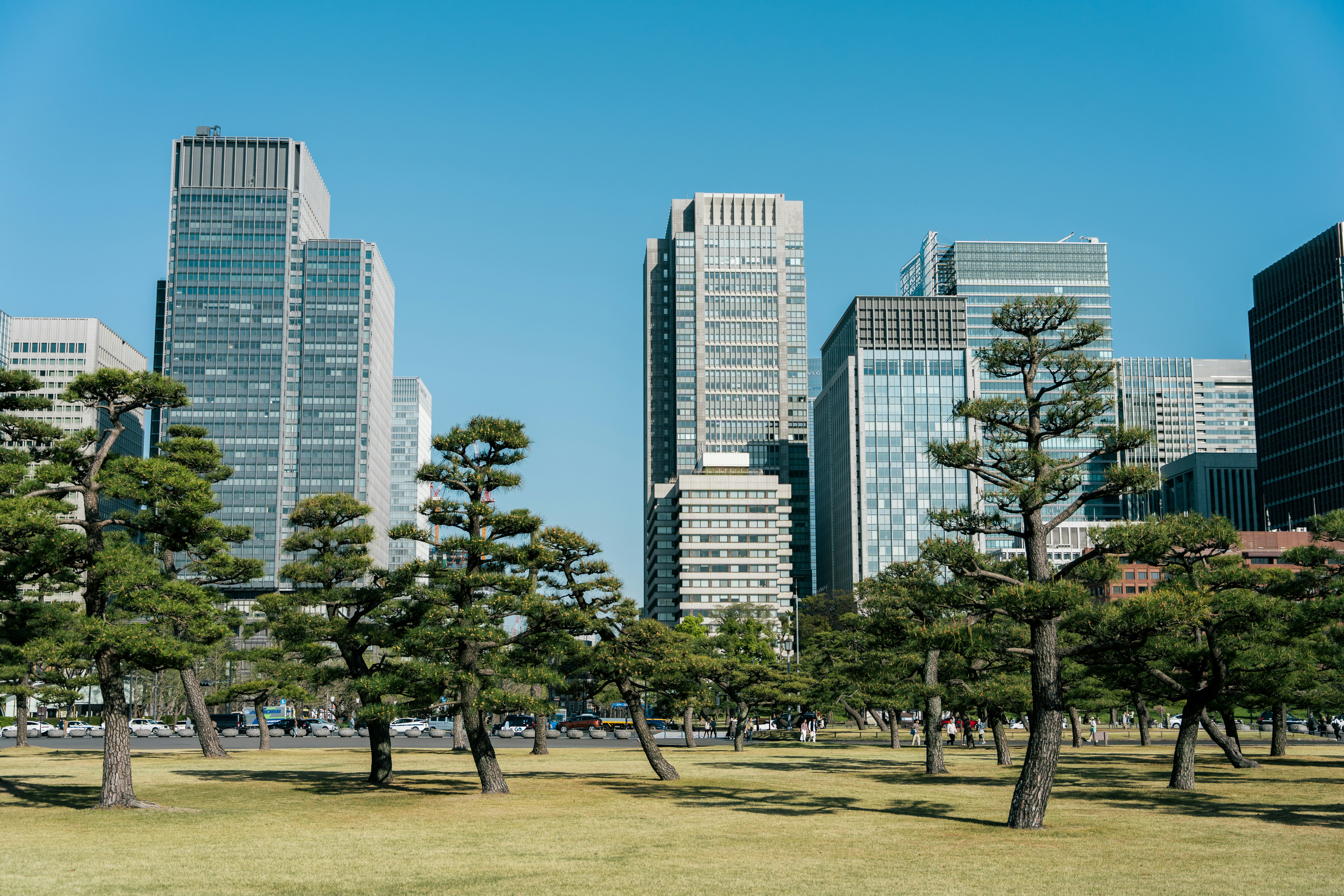 a park with trees and buildings in the background