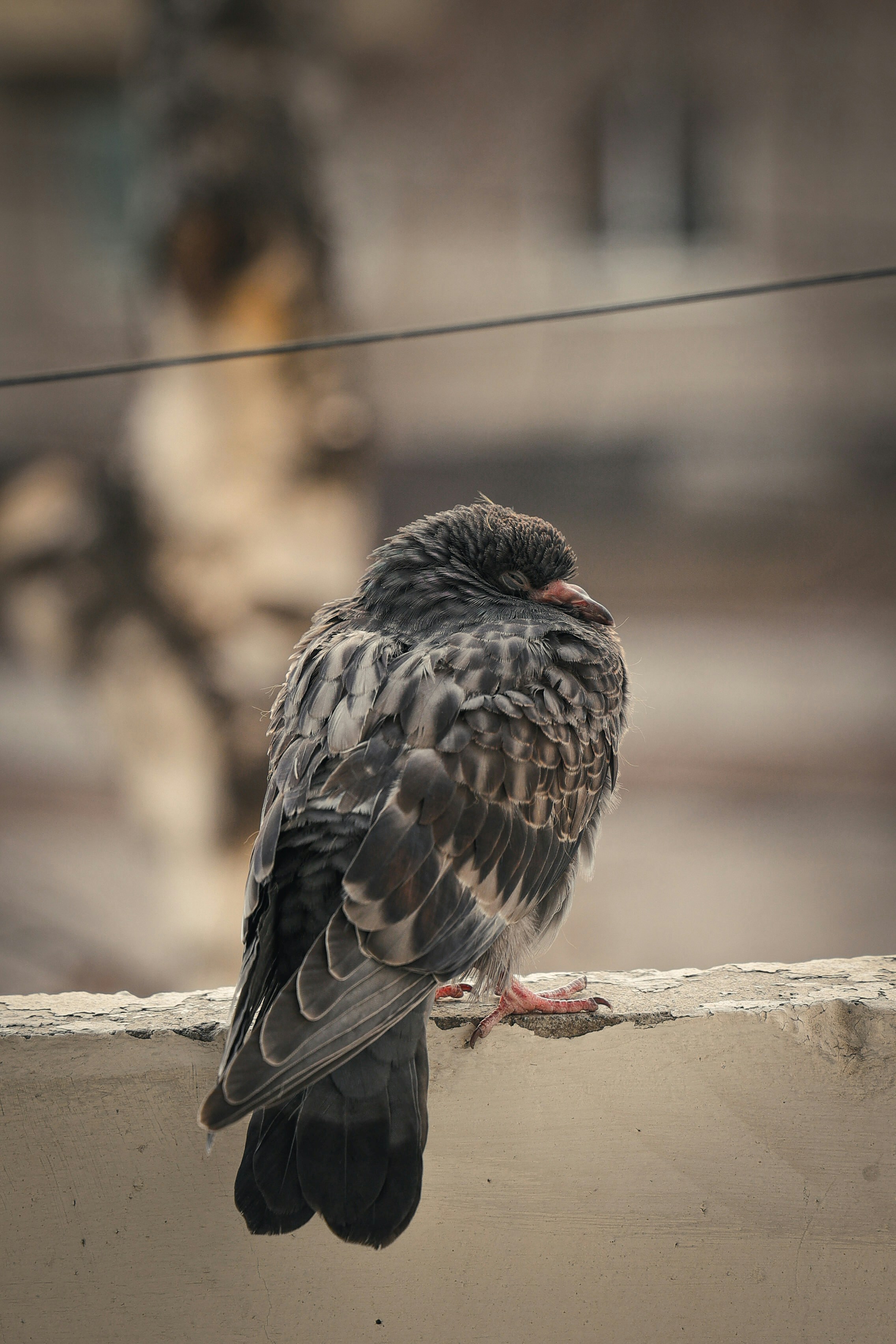 Photo by larisarunova