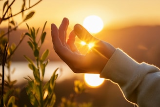a person holding their hands out in front of the sun