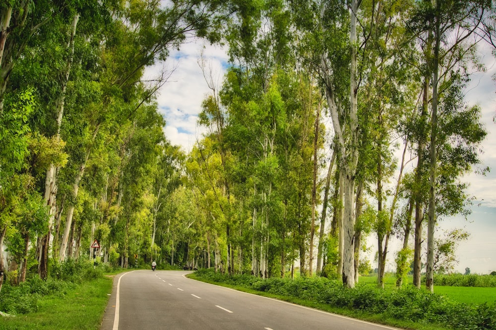 an empty road surrounded by trees and grass