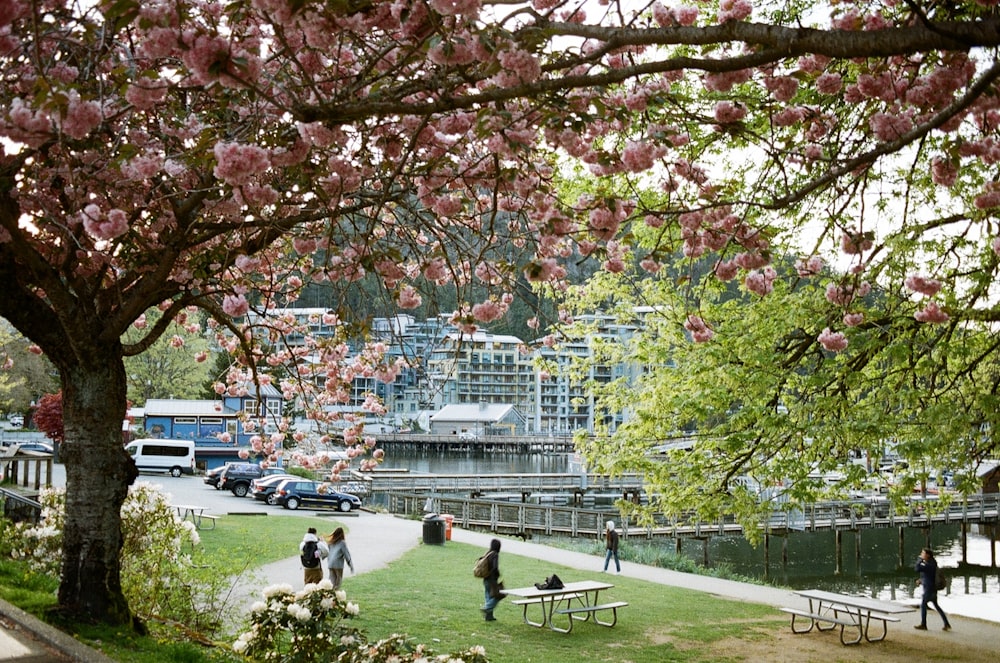 a group of people walking around a lush green park