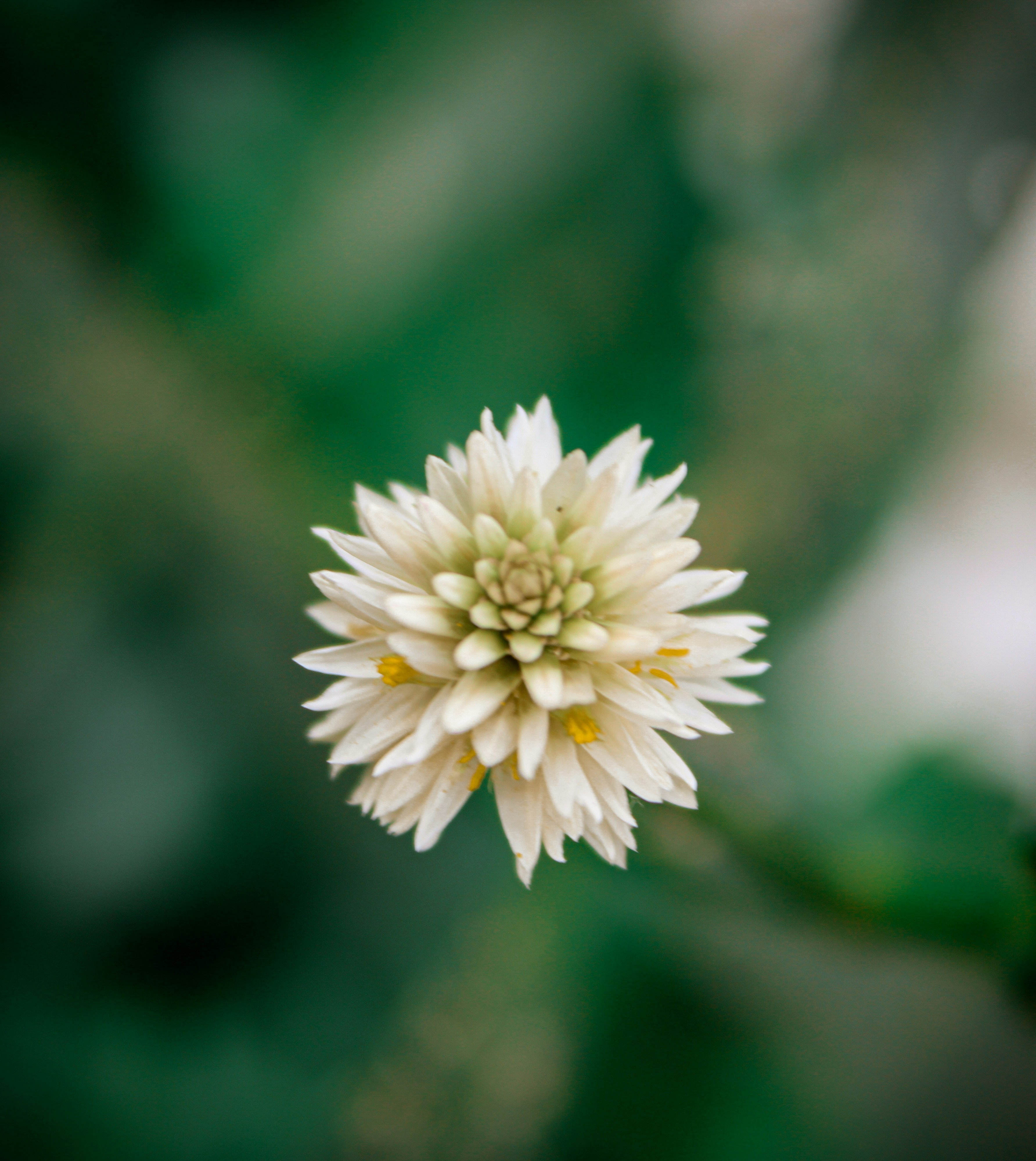 Photo by neelmoon1314