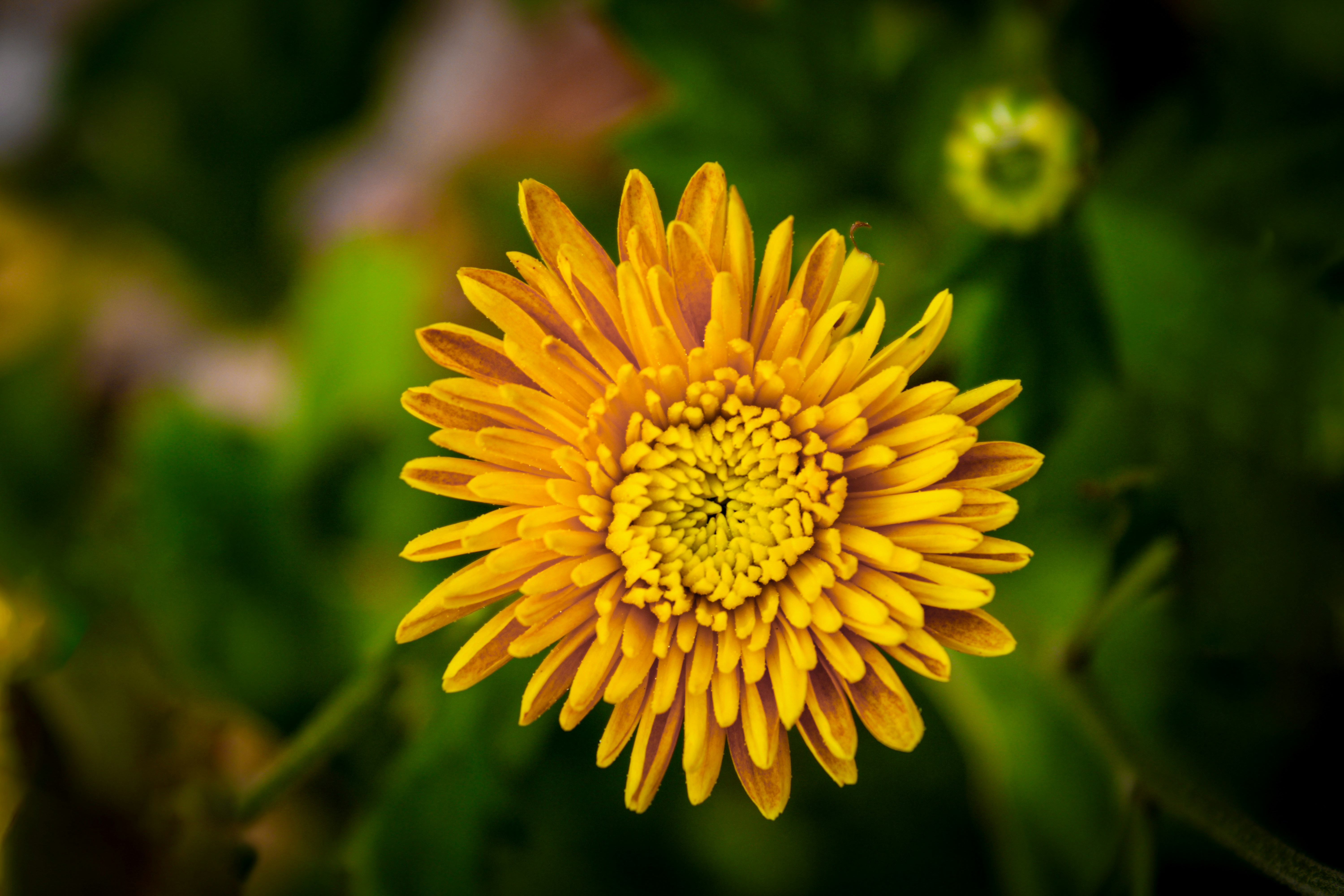 Photo by neelmoon1314