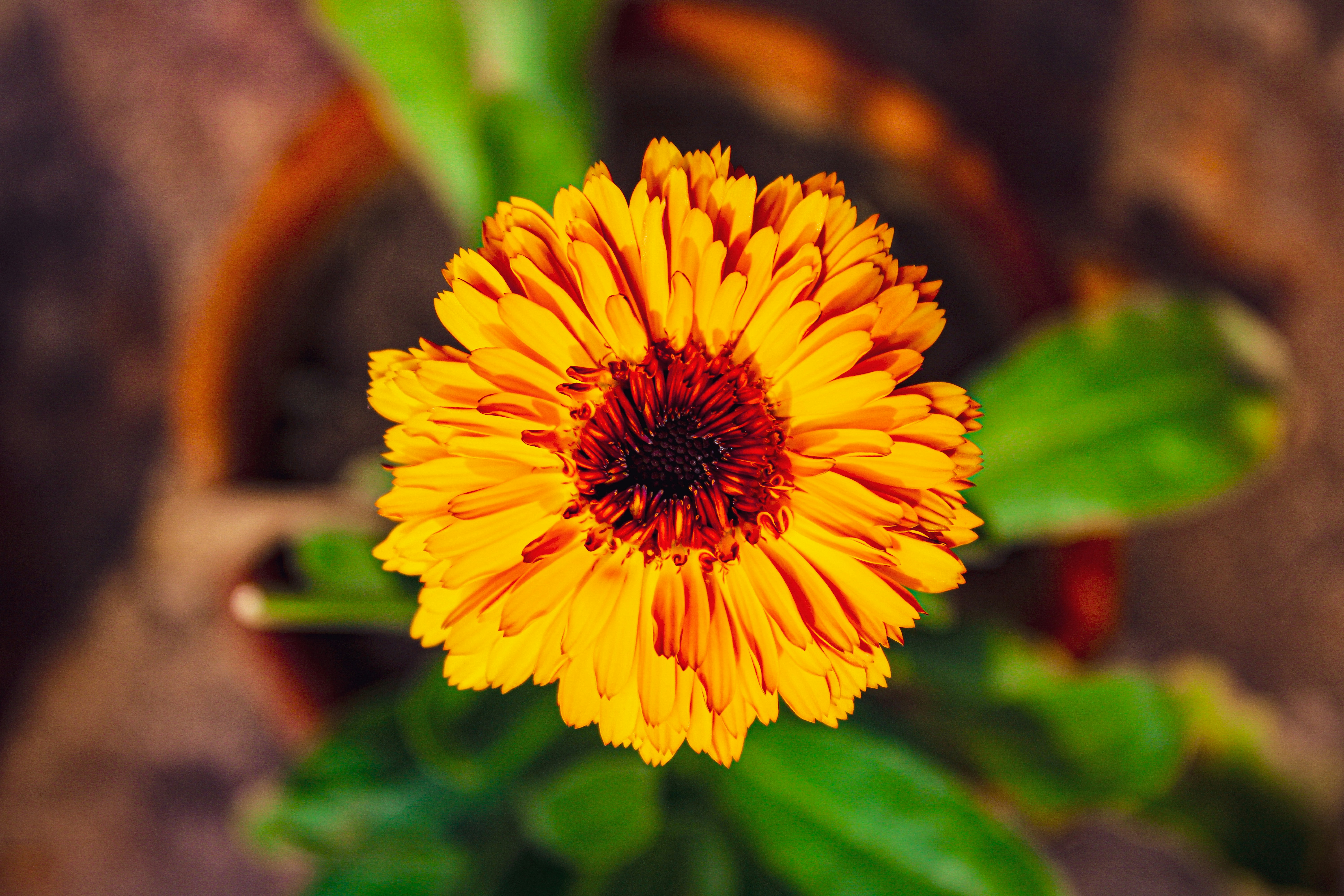 Photo by neelmoon1314