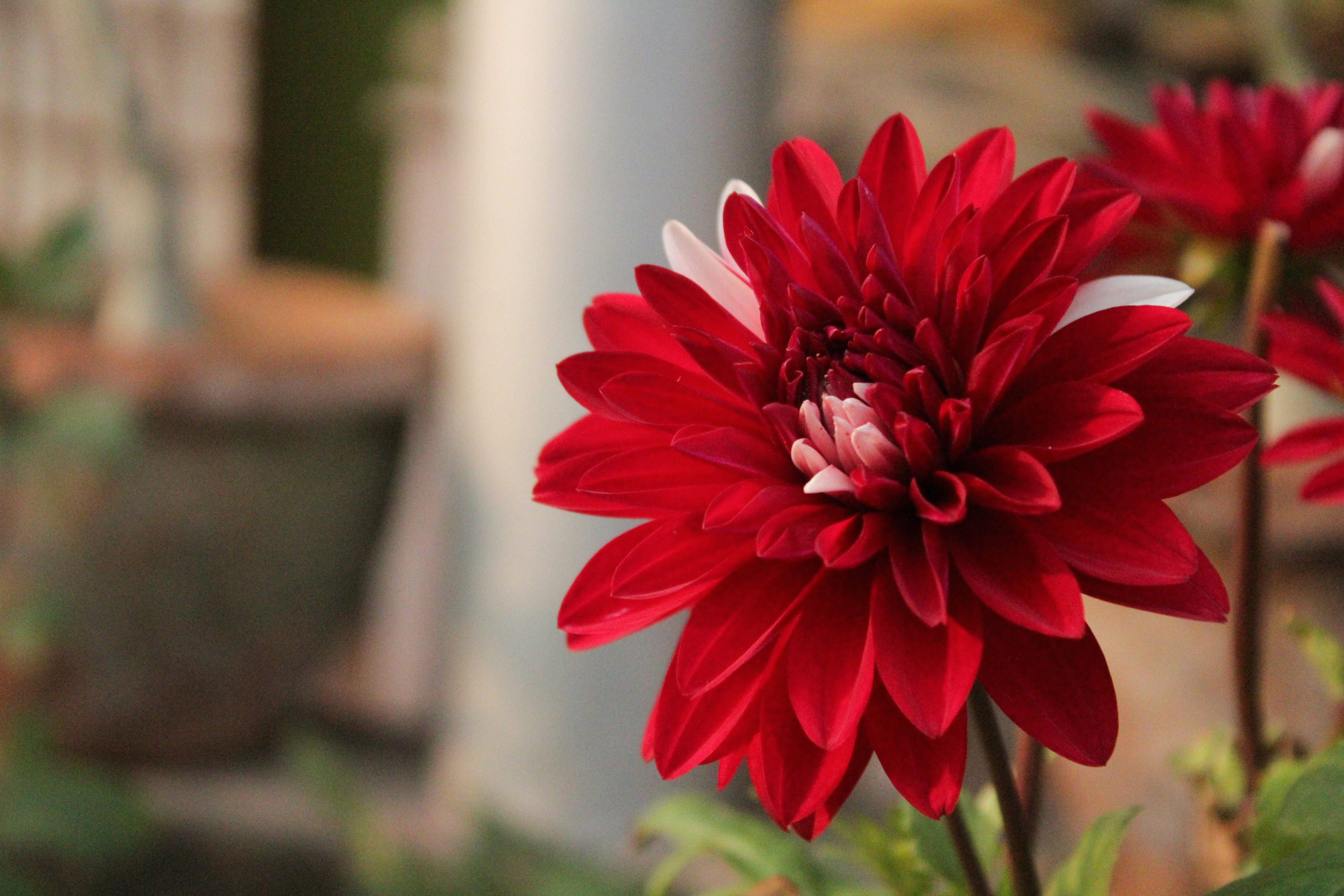 Photo by neelmoon1314