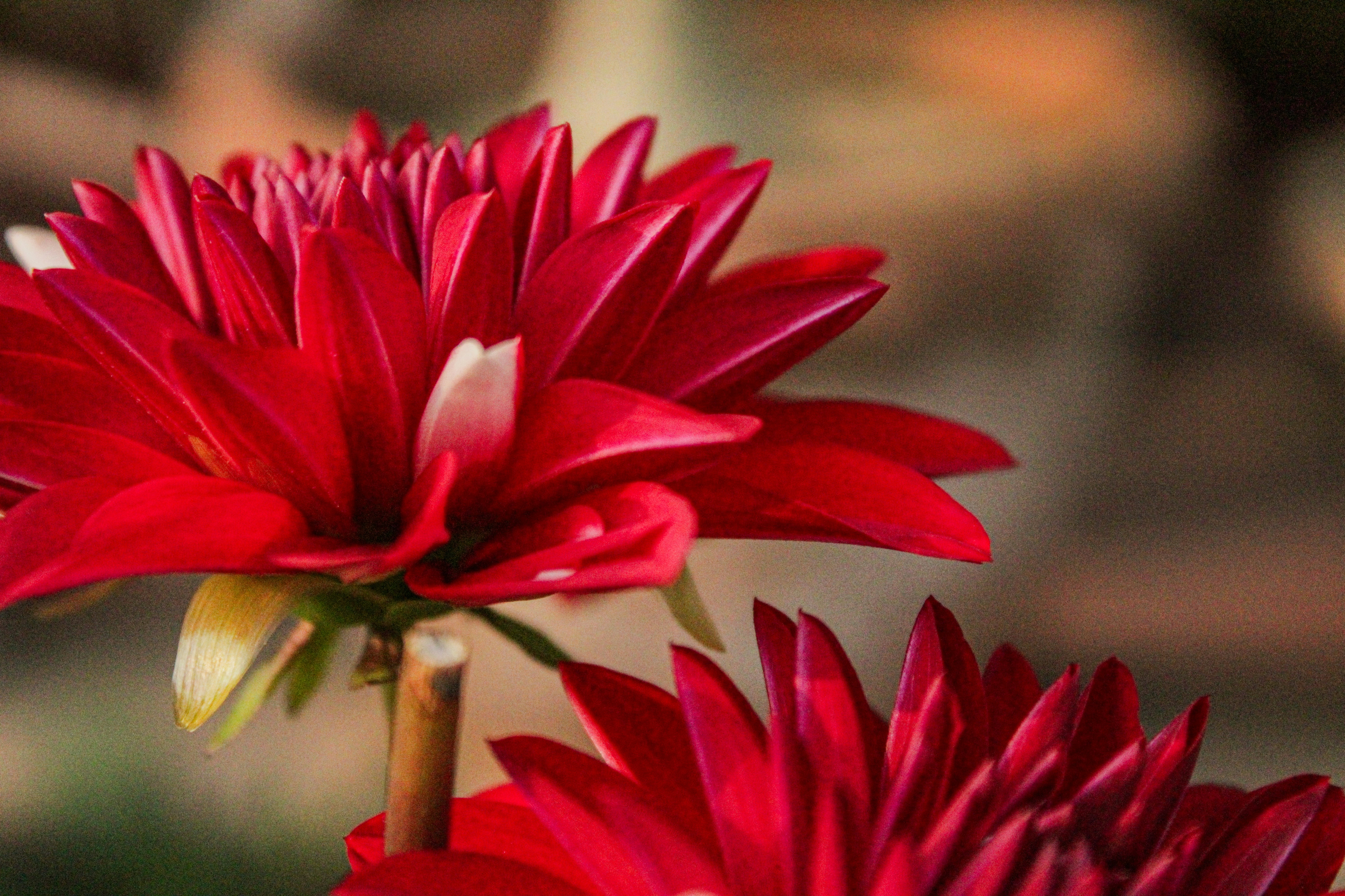 Photo by neelmoon1314