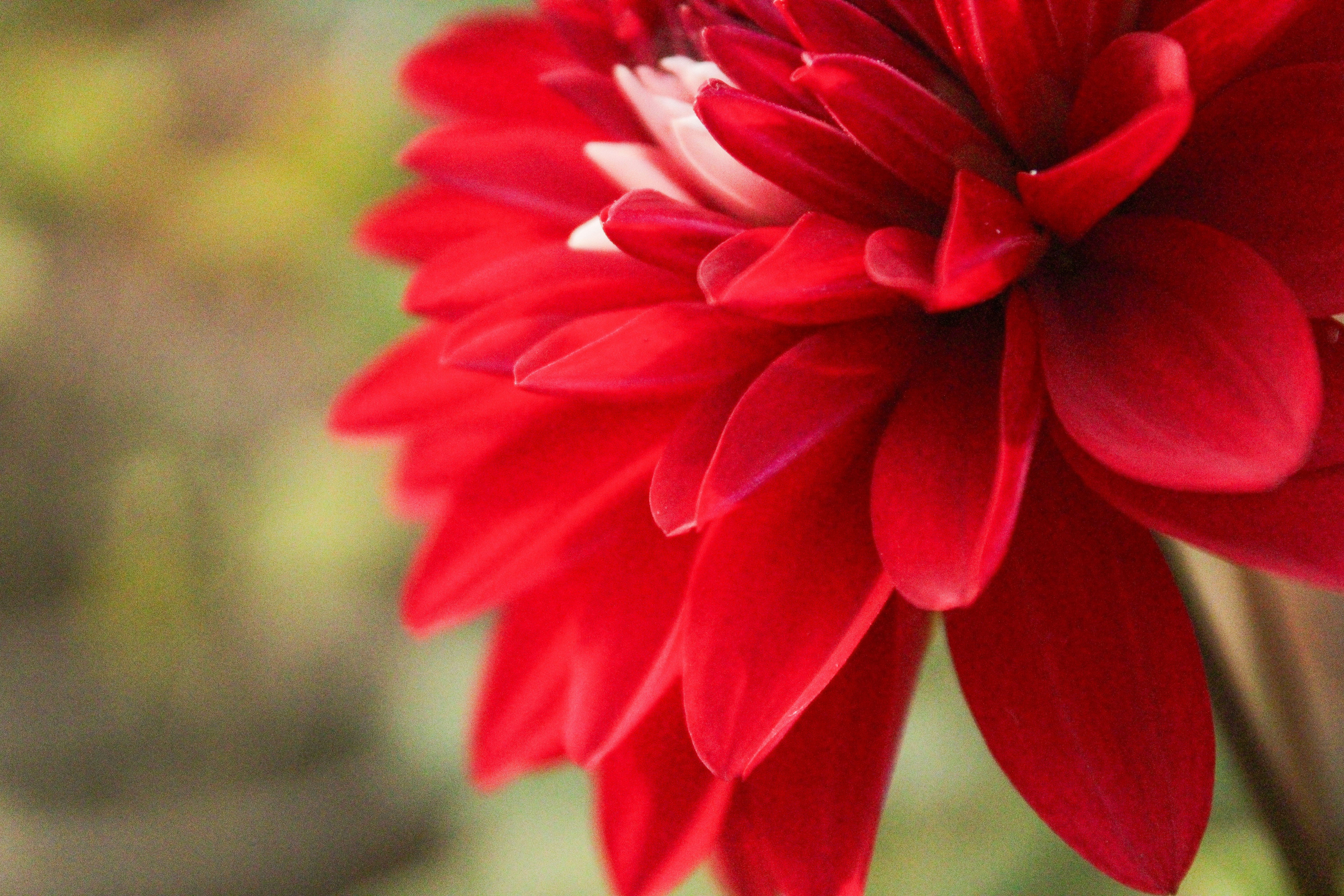 Photo by neelmoon1314