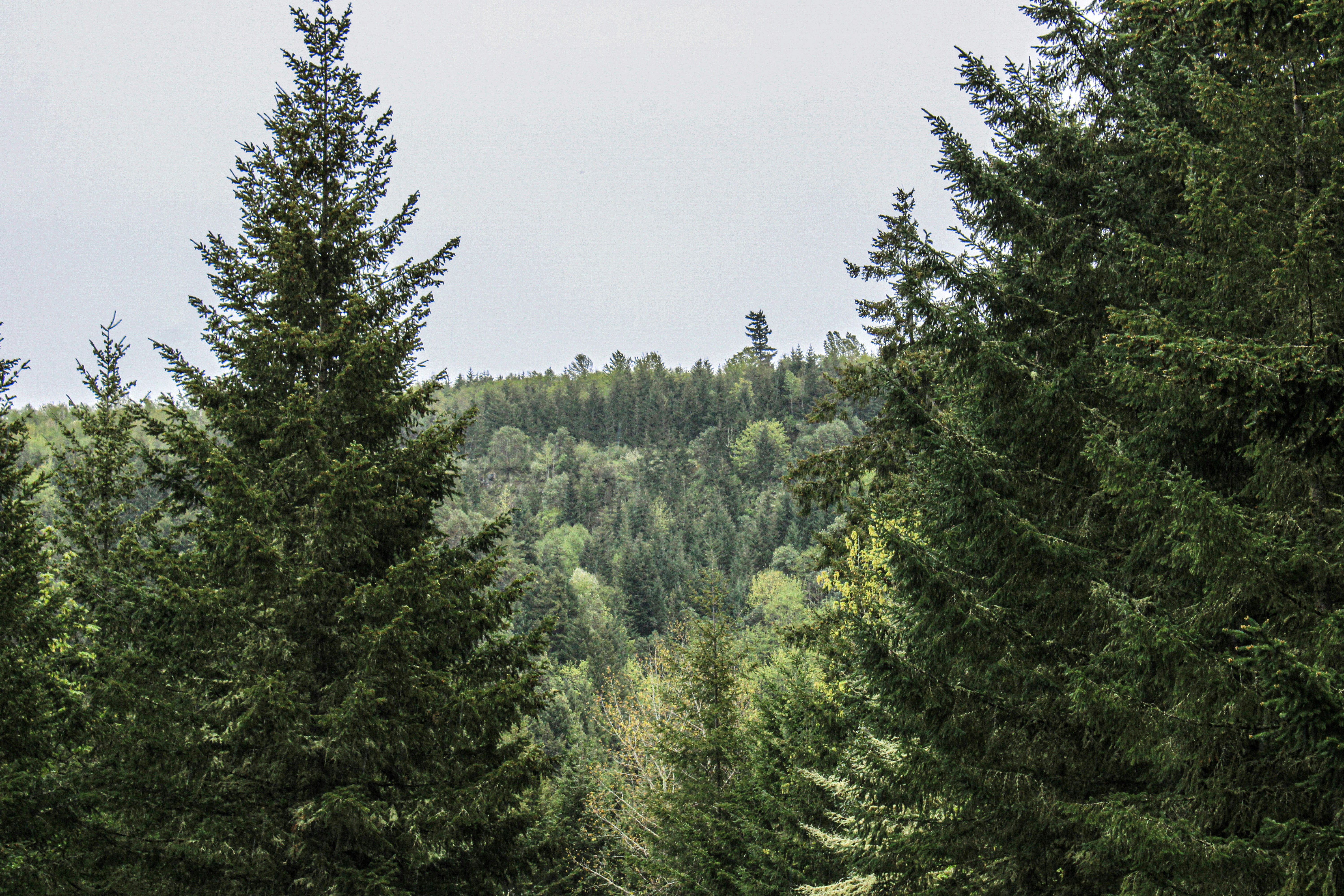 Photo by prphotography262