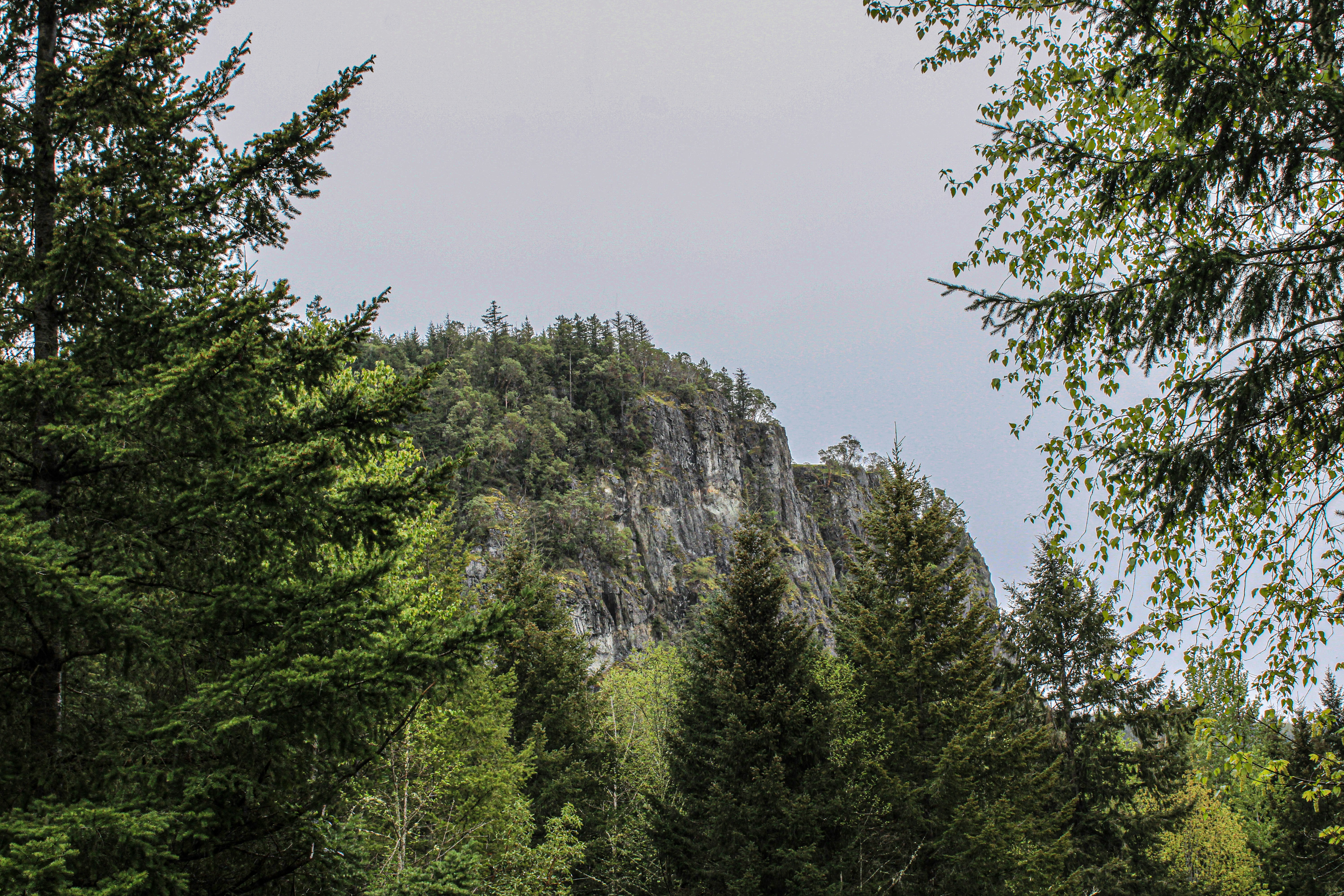 Photo by prphotography262