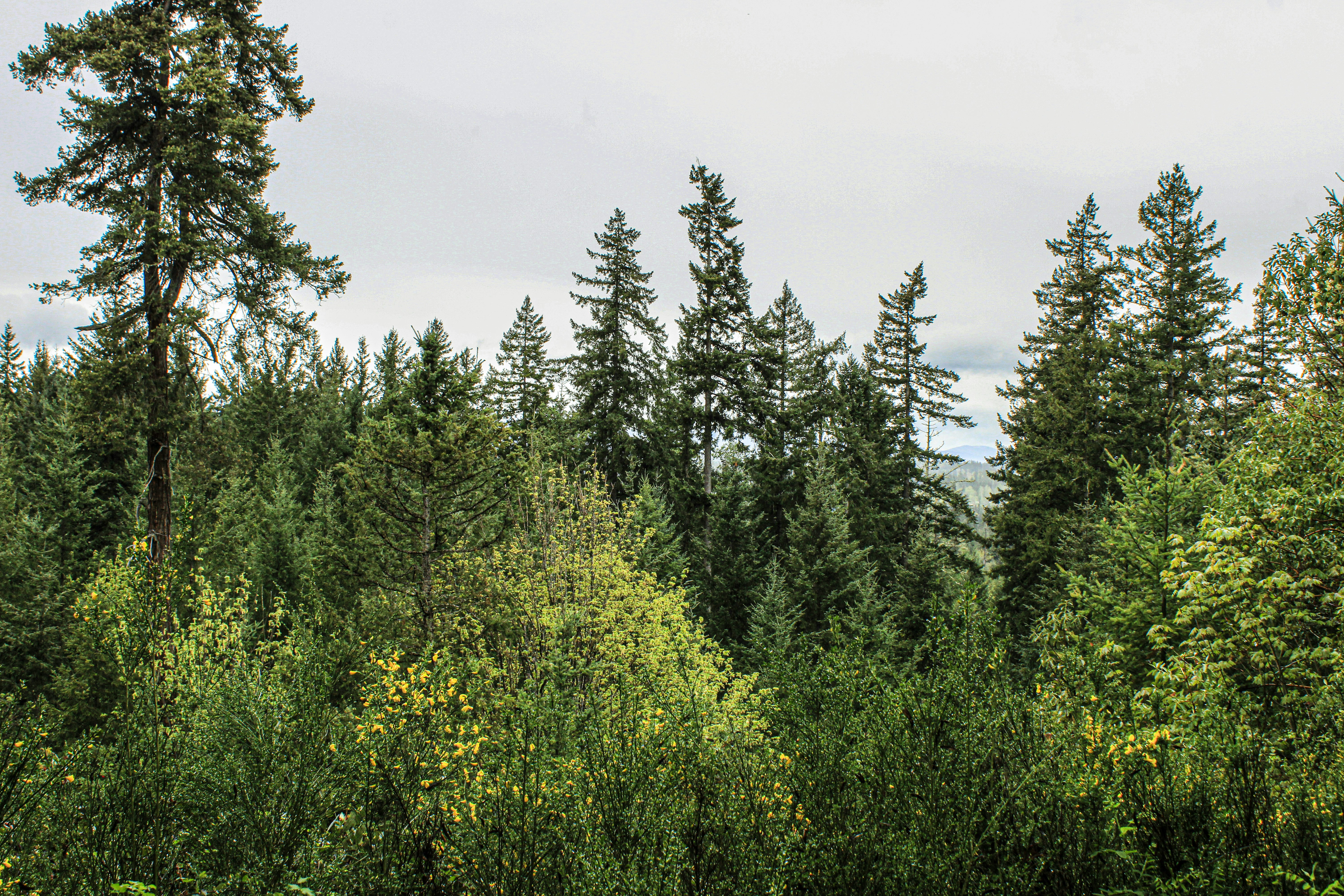 Photo by prphotography262