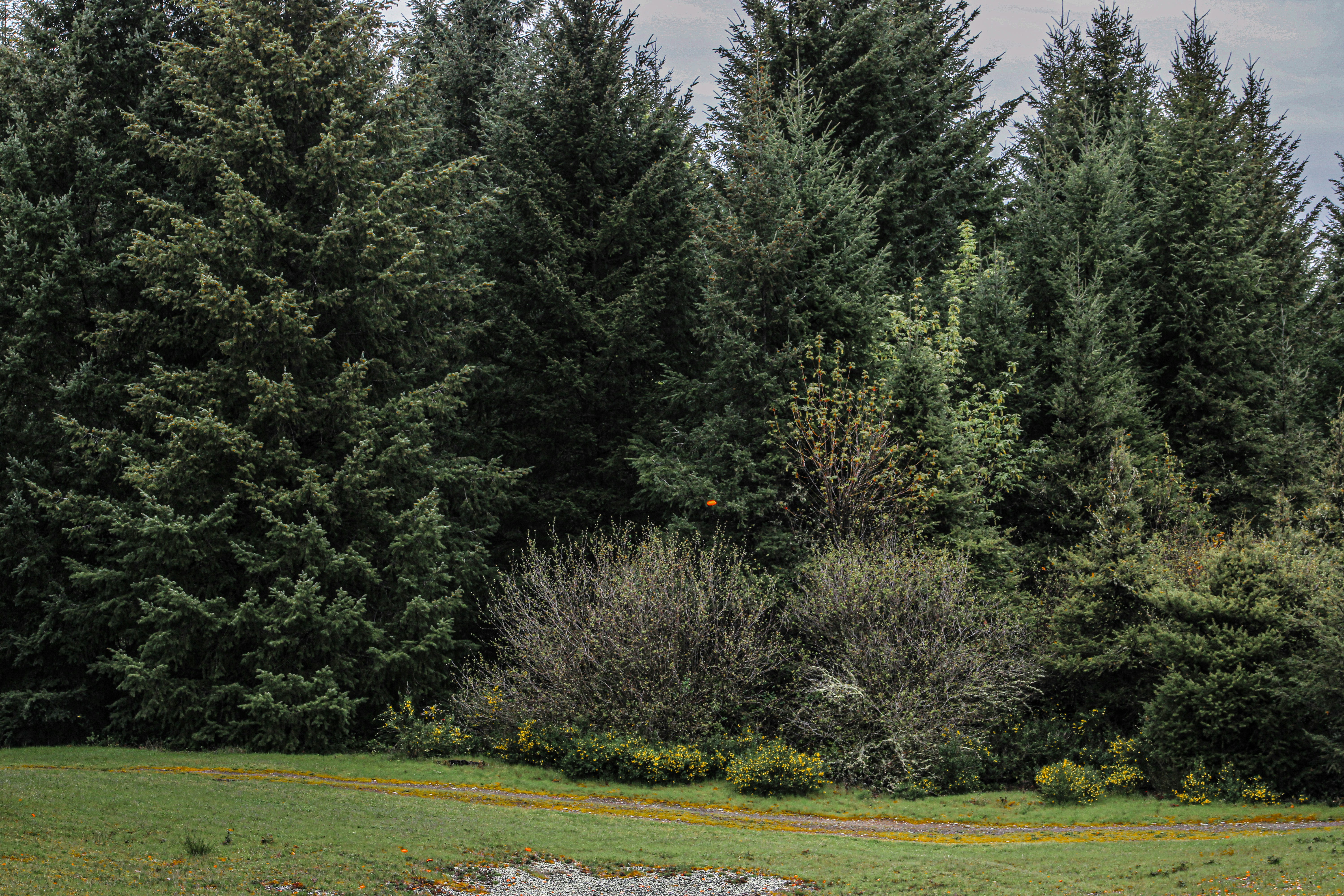 Photo by prphotography262