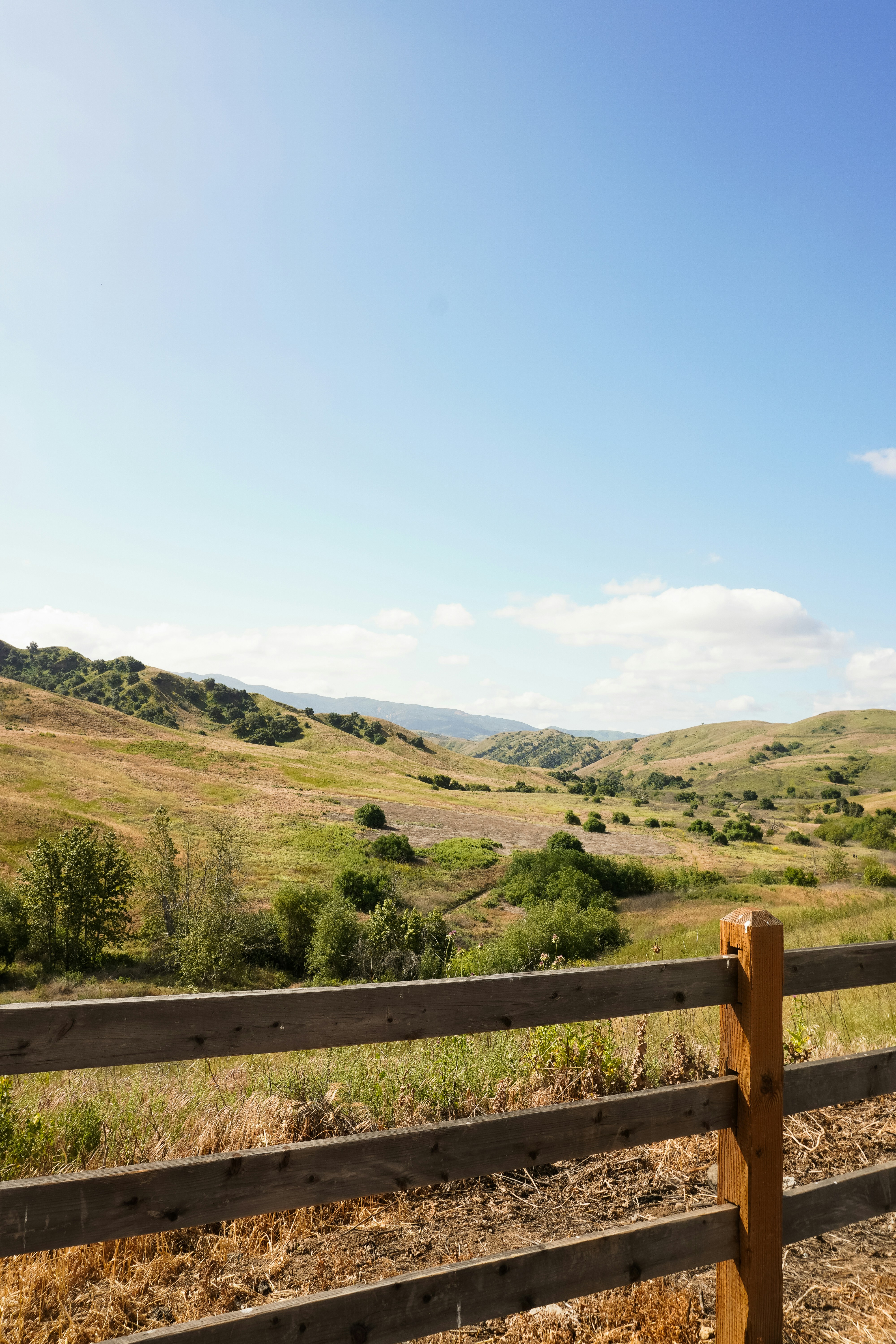 Photo by southcypress