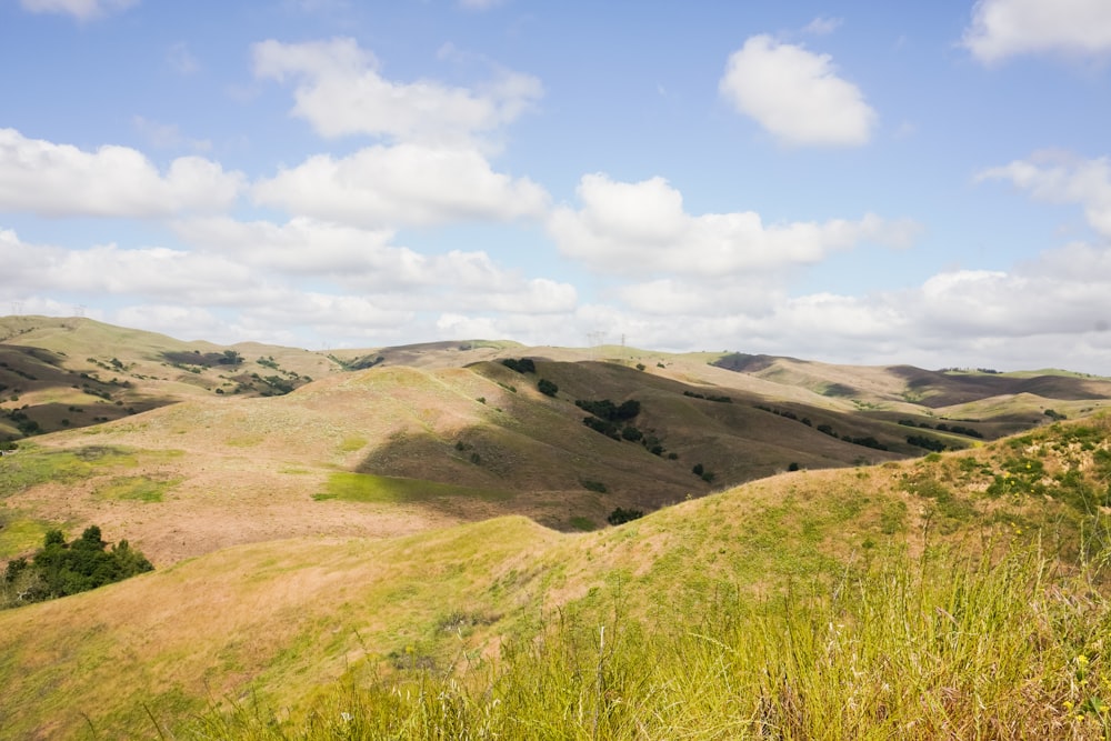 a view of a grassy valley with hills in the background