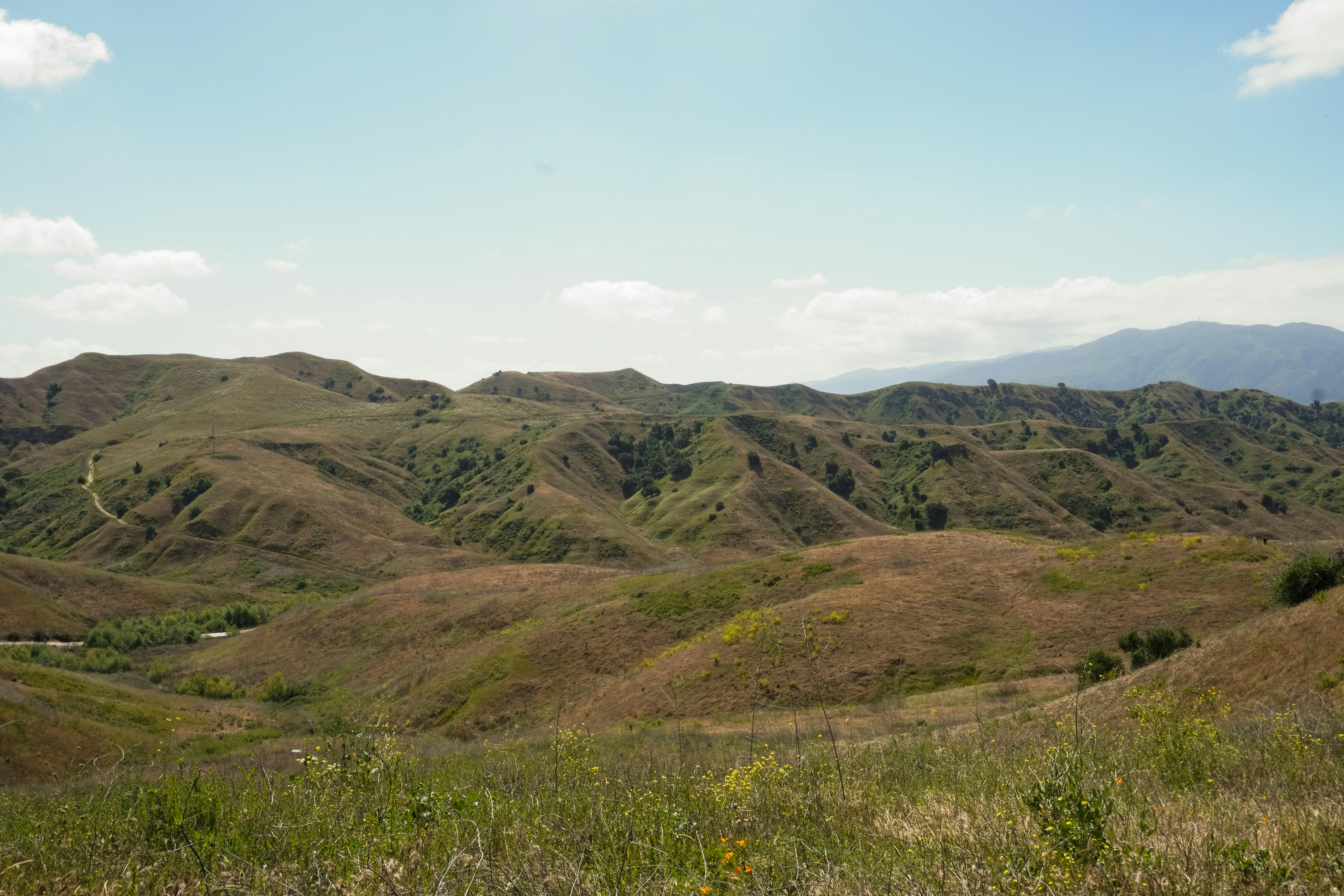 Photo by southcypress