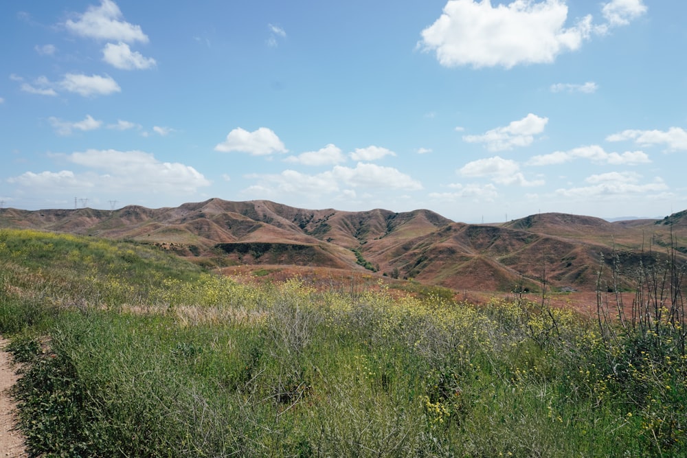 a dirt road going through a lush green hillside