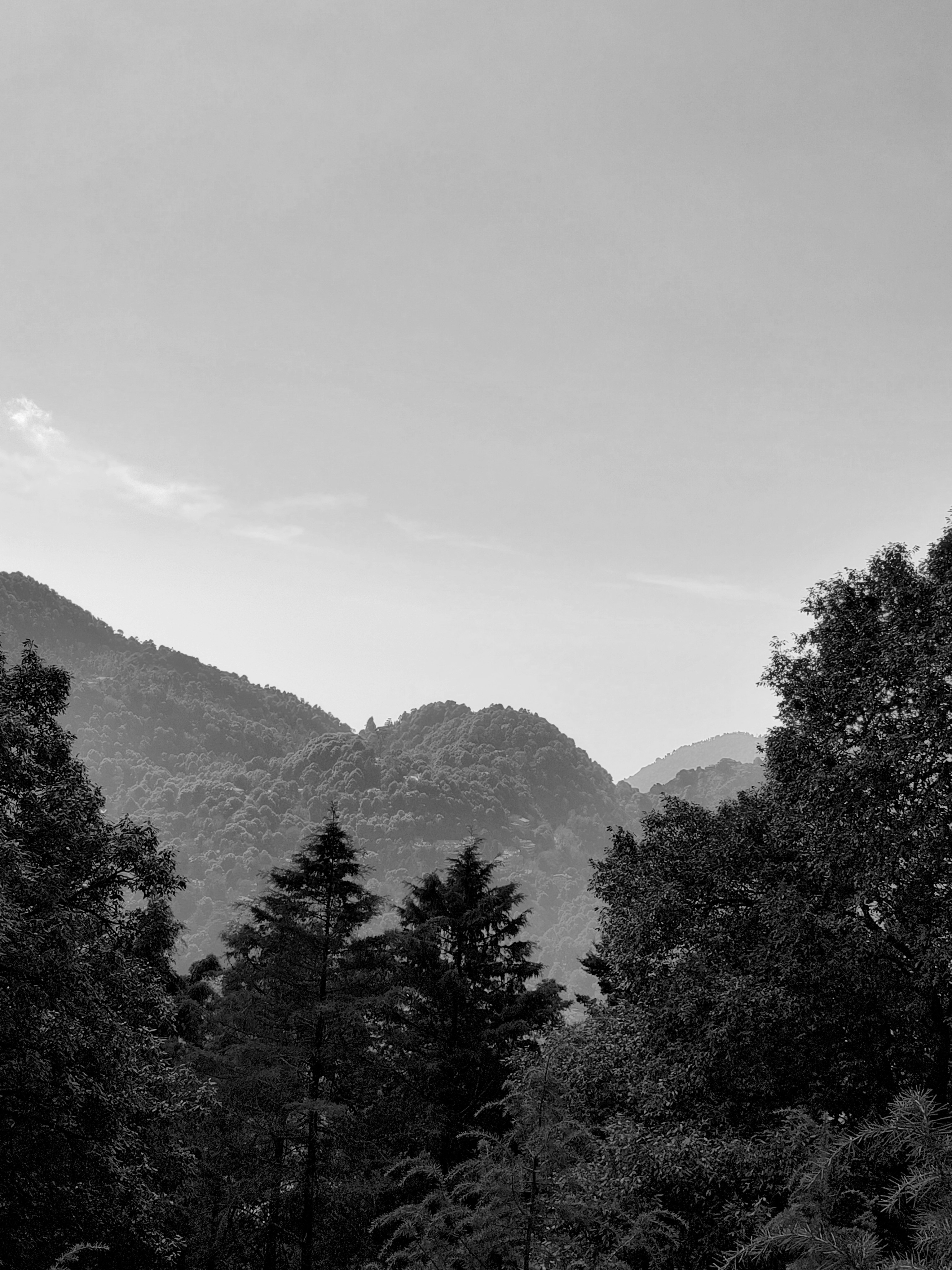 Photo by sayam_palrecha