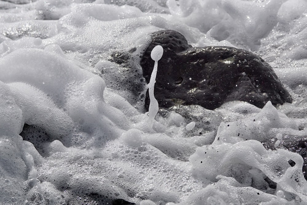 a black and white photo of a rock in the water