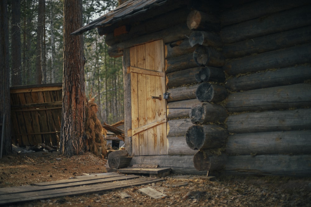 a log cabin in the woods with a door open