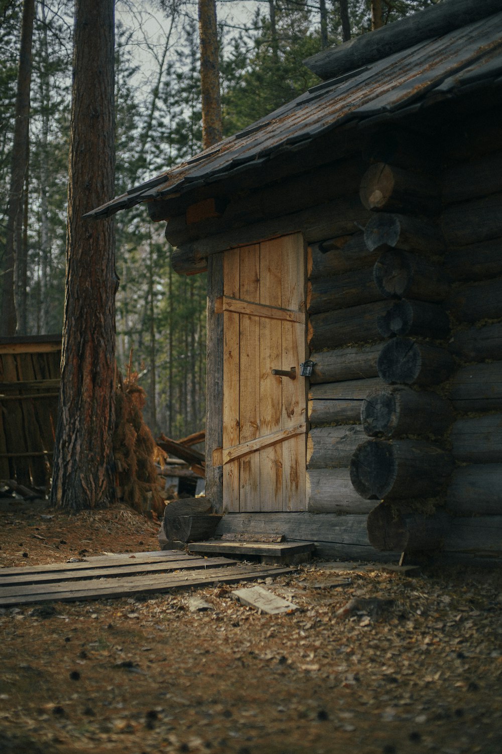 a log cabin in the woods with a door open