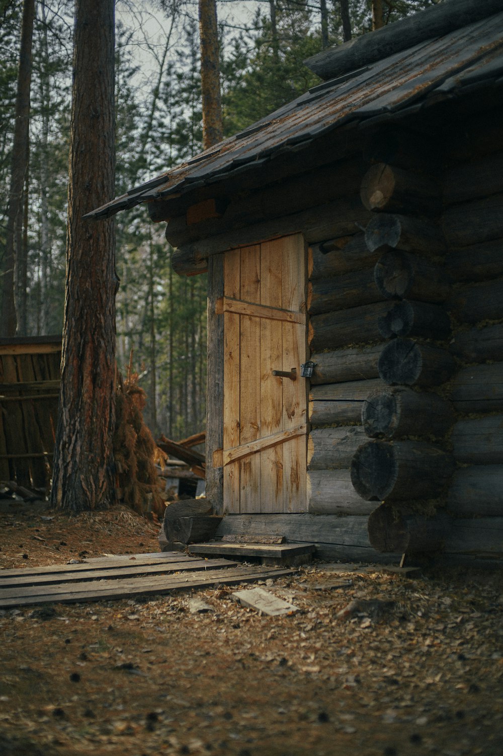 eine Blockhütte im Wald mit offener Tür