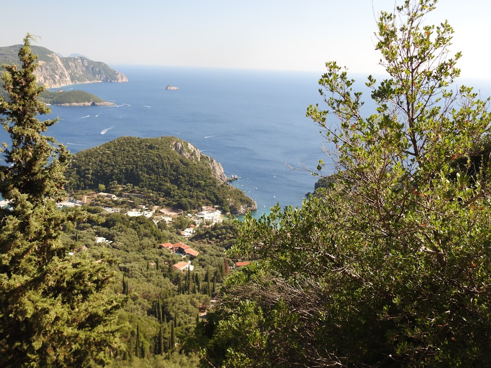 a view of the ocean from a hill