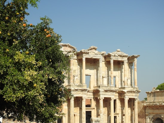 an old building with a tree in front of it