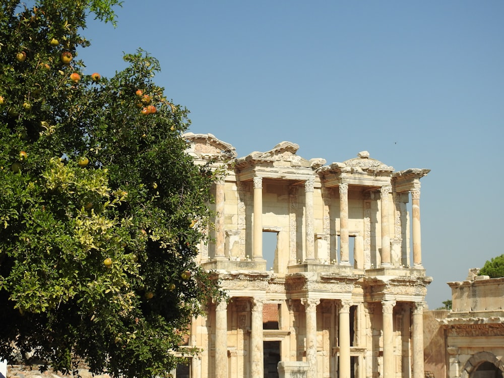 an old building with a tree in front of it