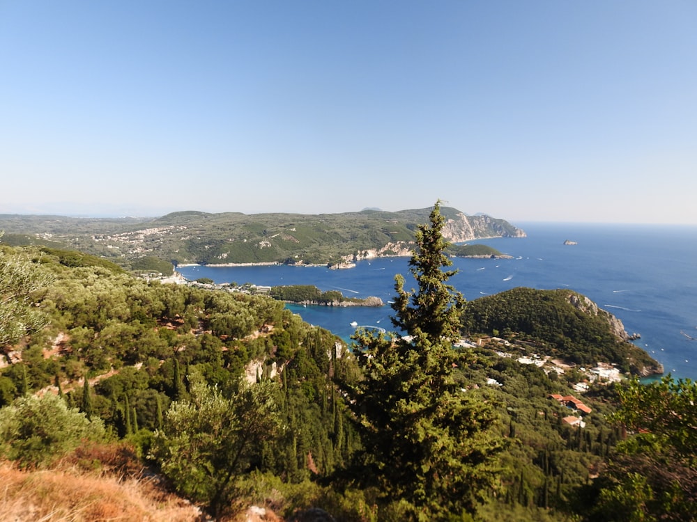 a scenic view of the ocean from a hill