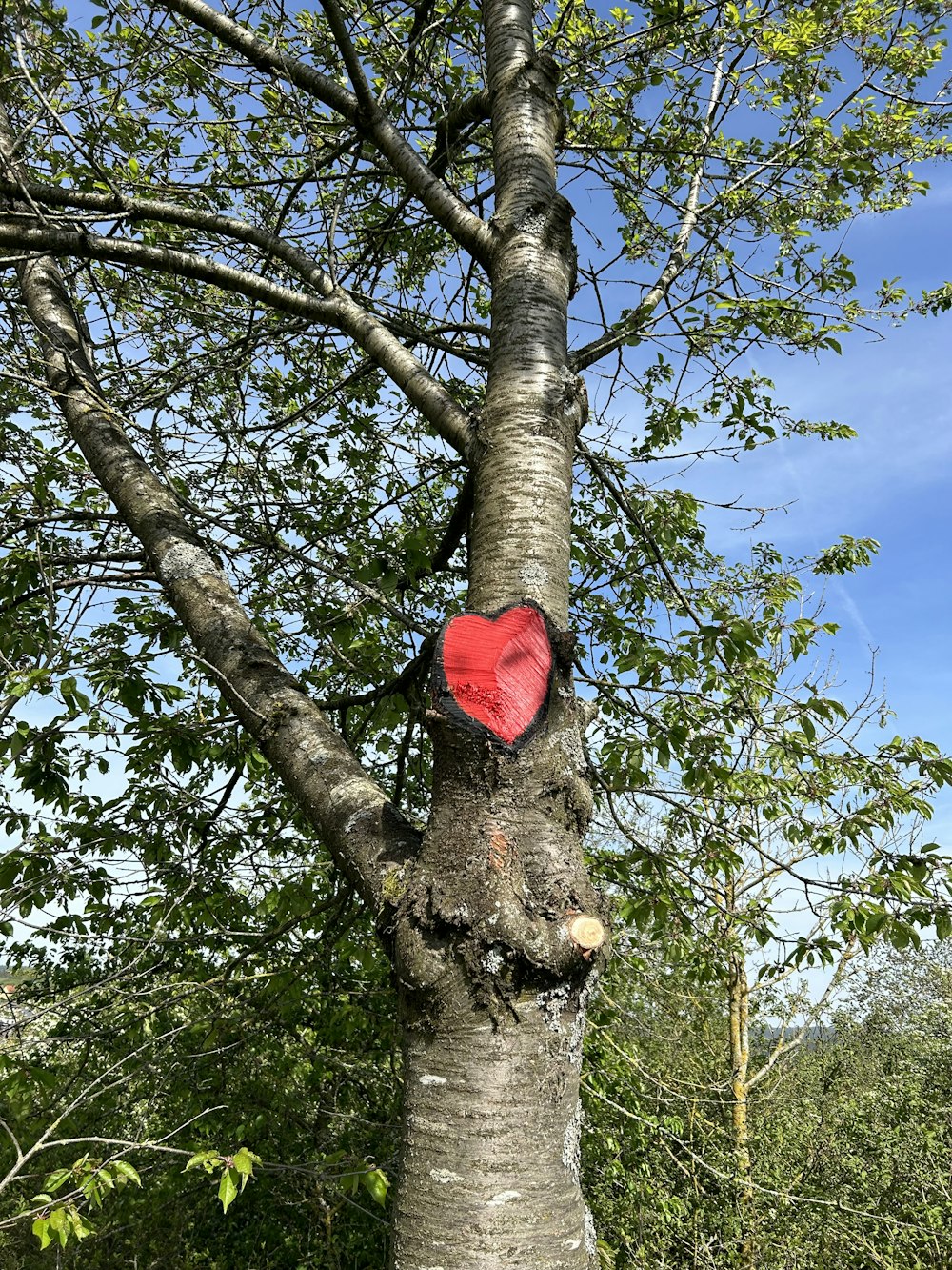 a tree with a red heart on it