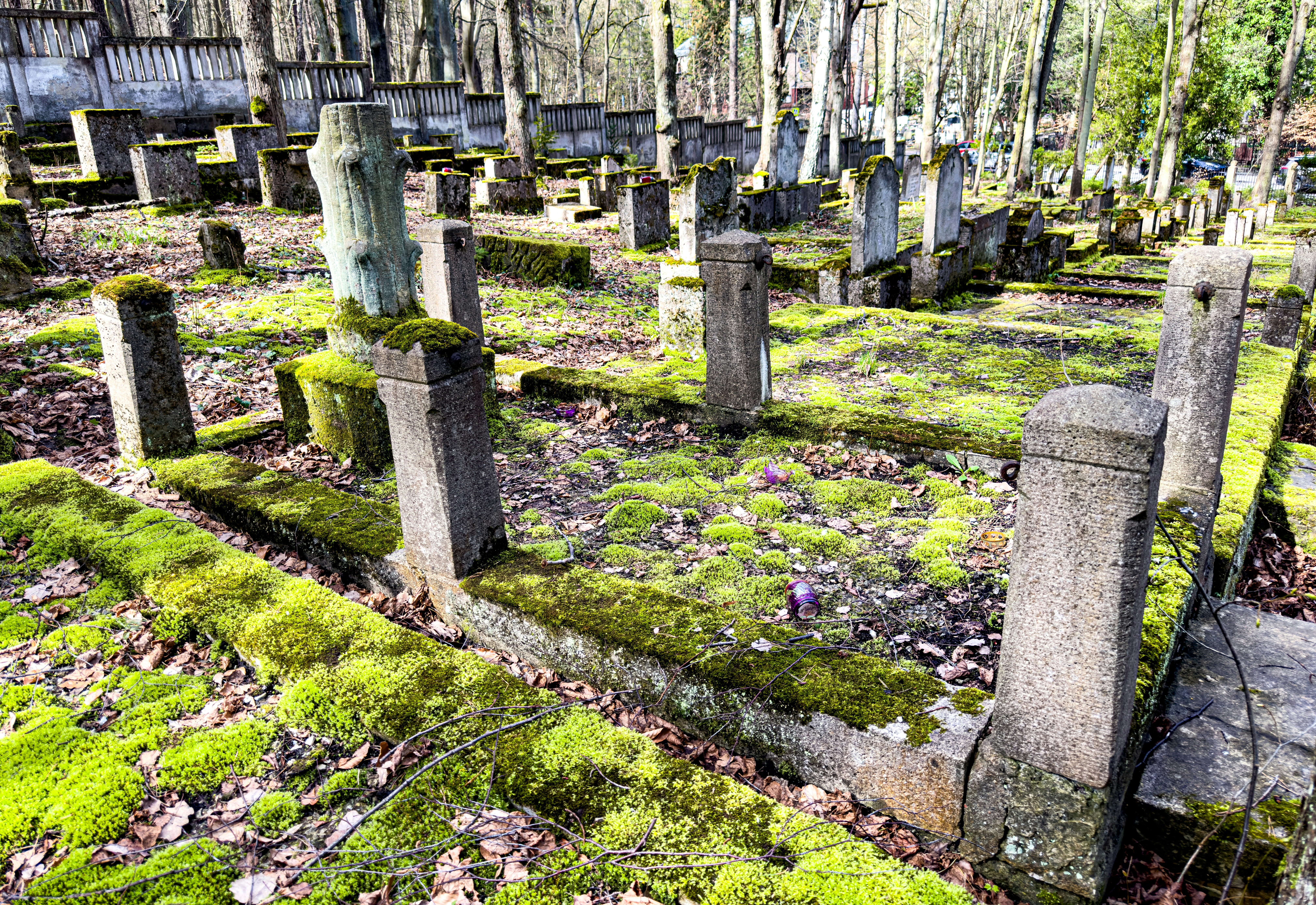 a cemetery with moss growing on the ground, Jewish cemetery in Sopot