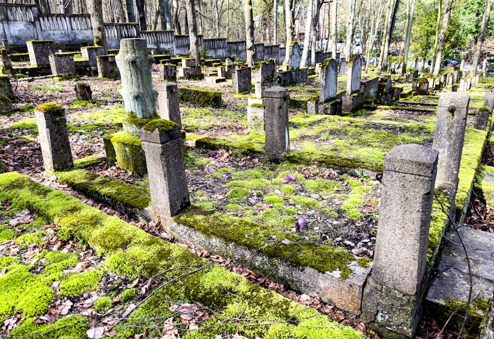 Un cementerio con musgo creciendo en el suelo