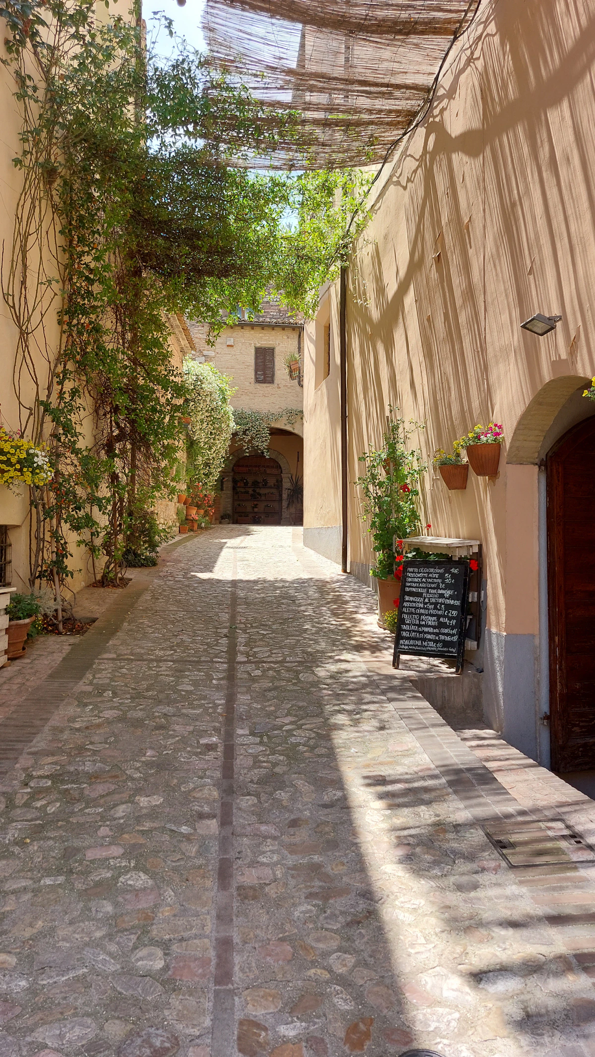 Italian alley with potted plants