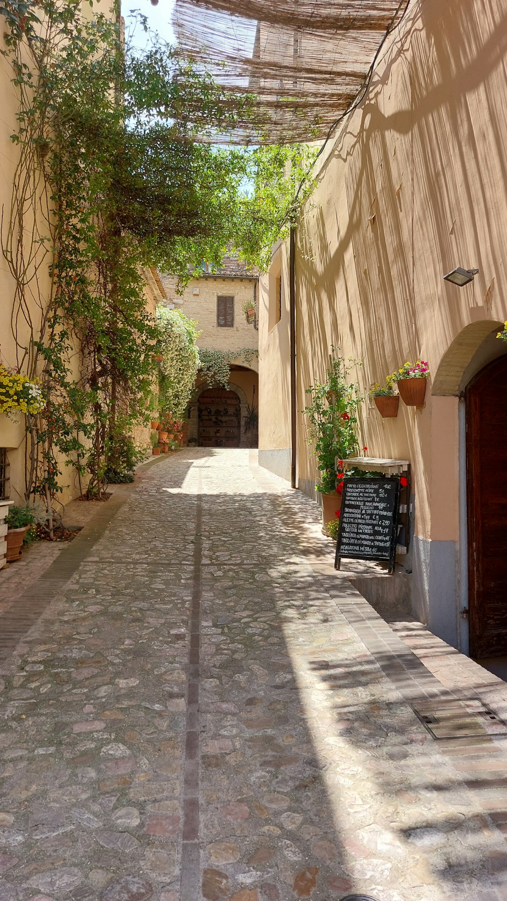 an alley way with a sign and potted plants