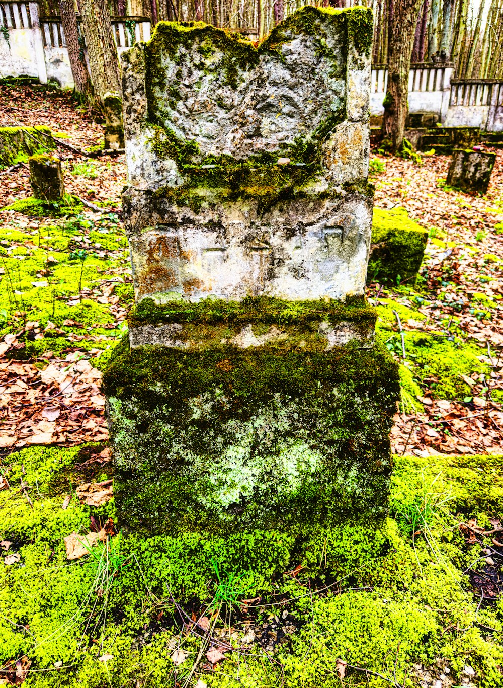 a moss covered grave surrounded by trees