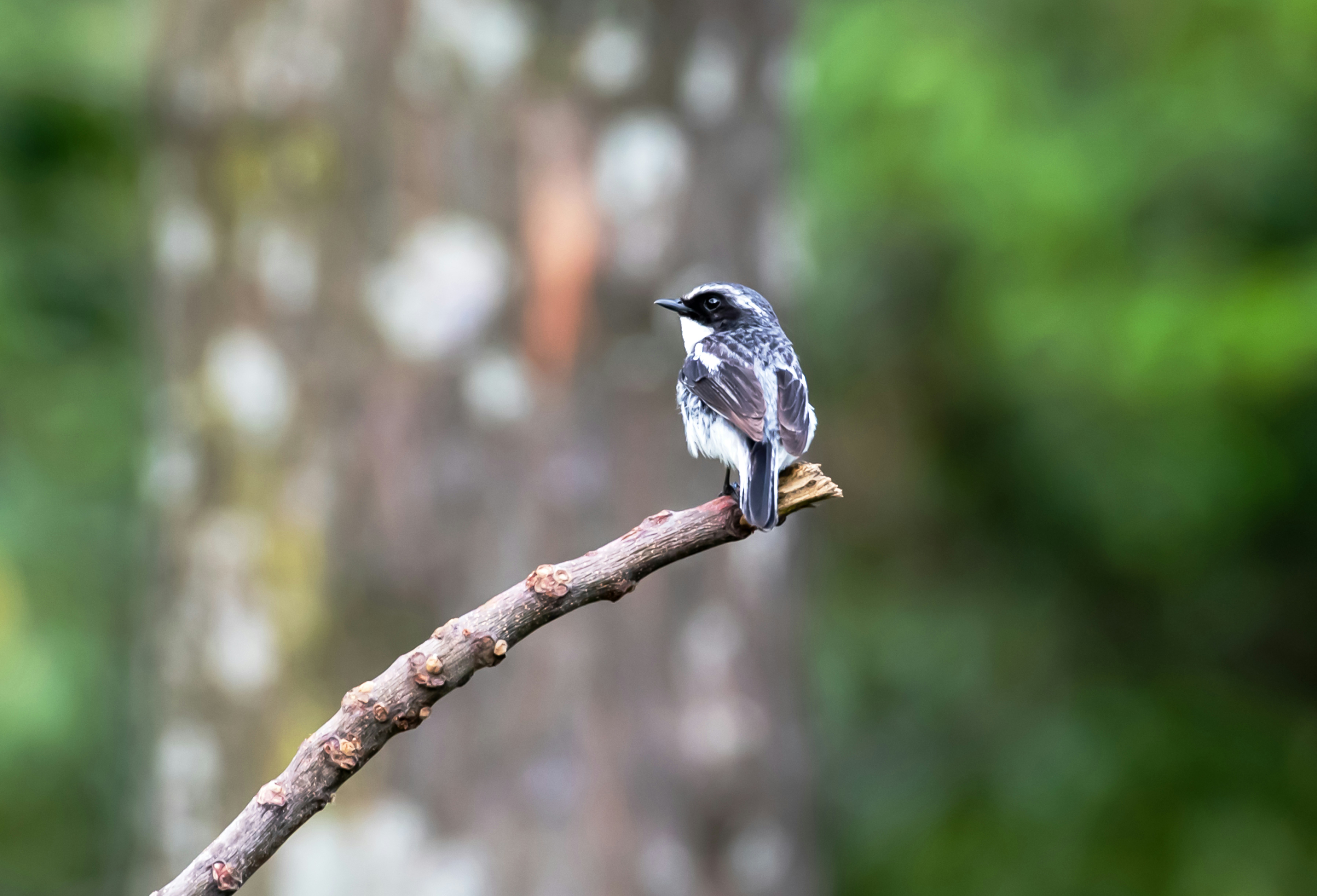 Photo by mhphotography13