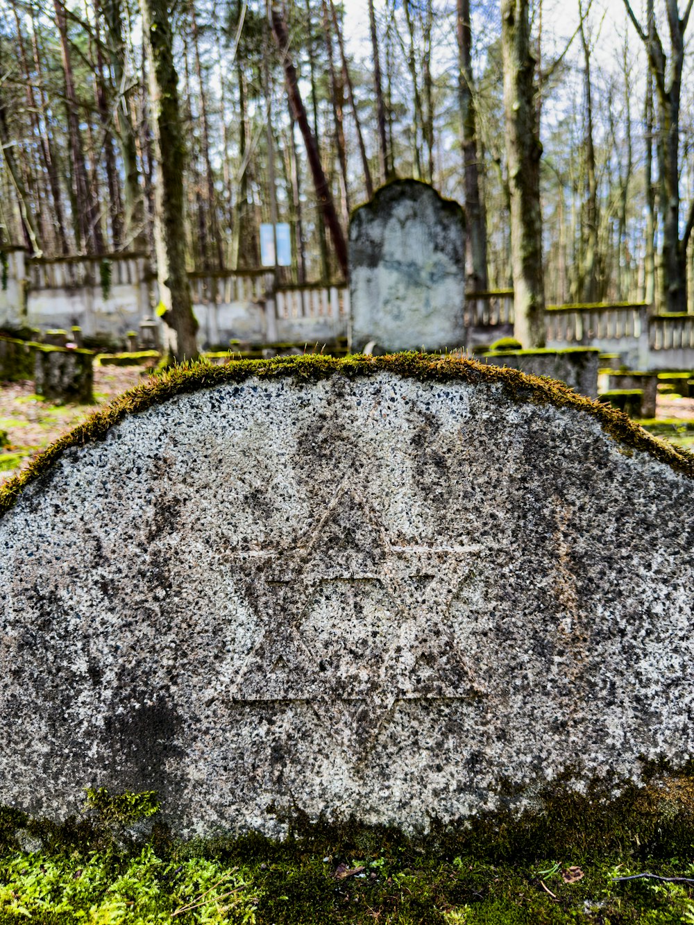 a large rock with moss growing on it