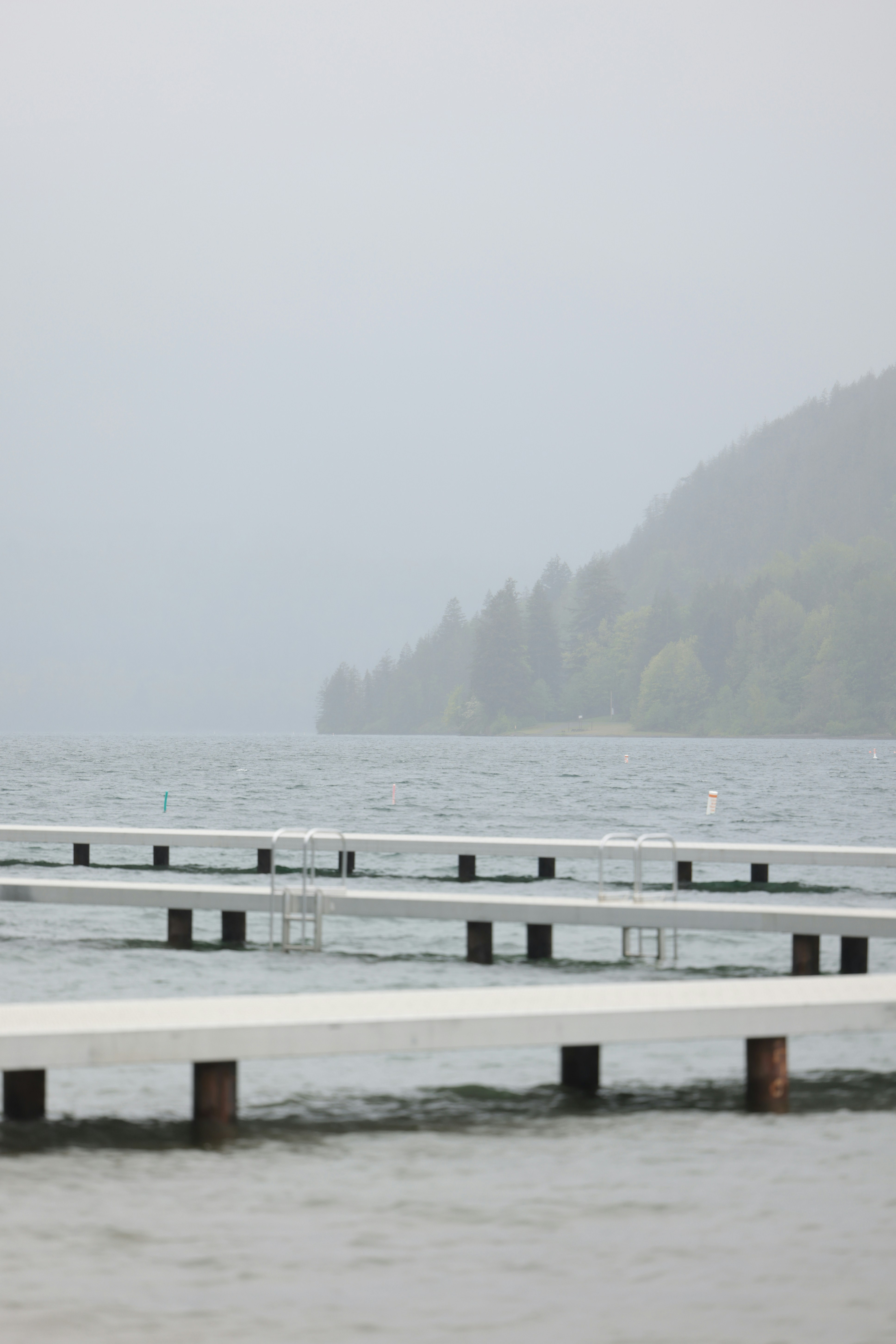 a large body of water sitting next to a forest