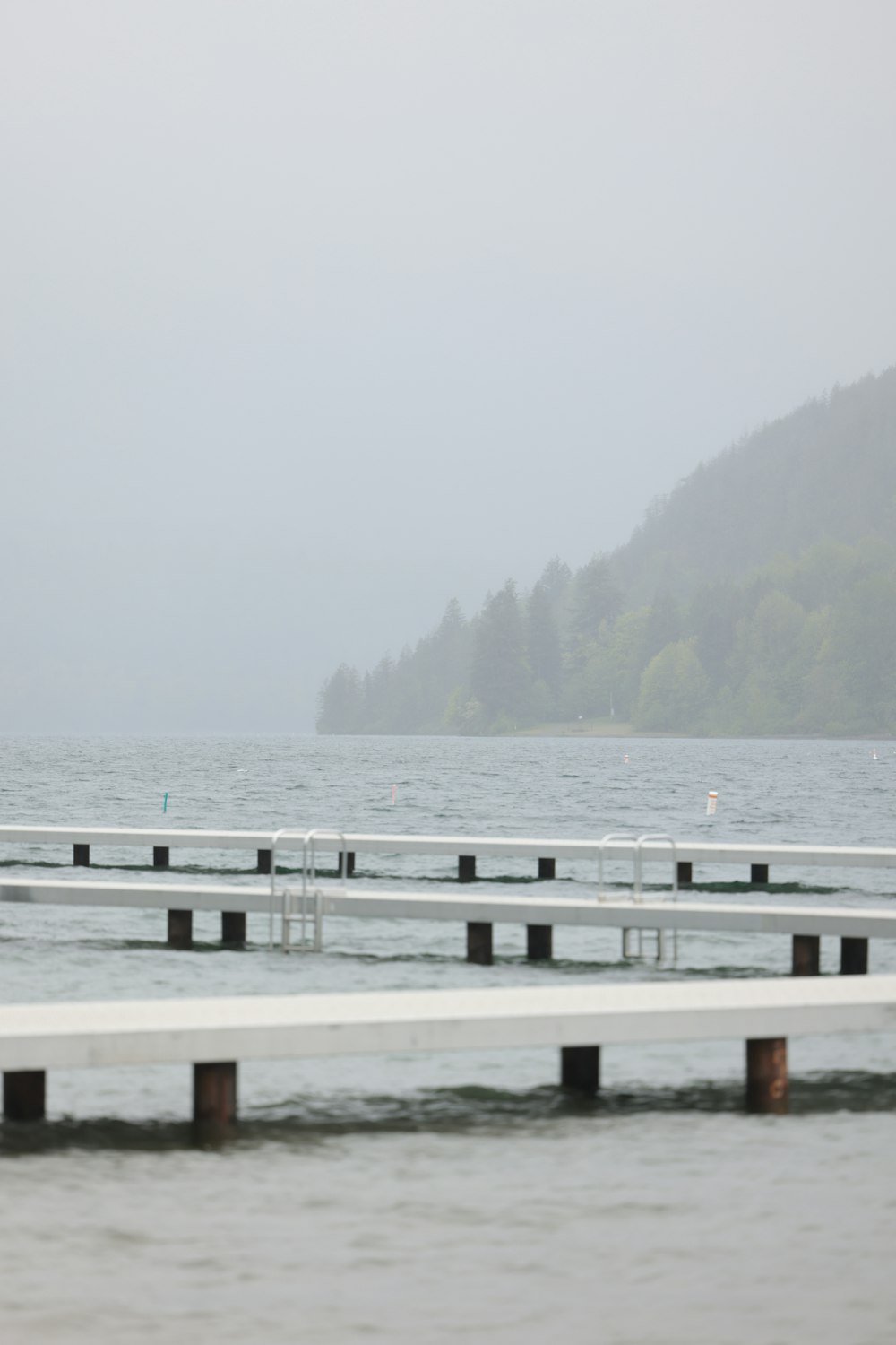 a large body of water sitting next to a forest