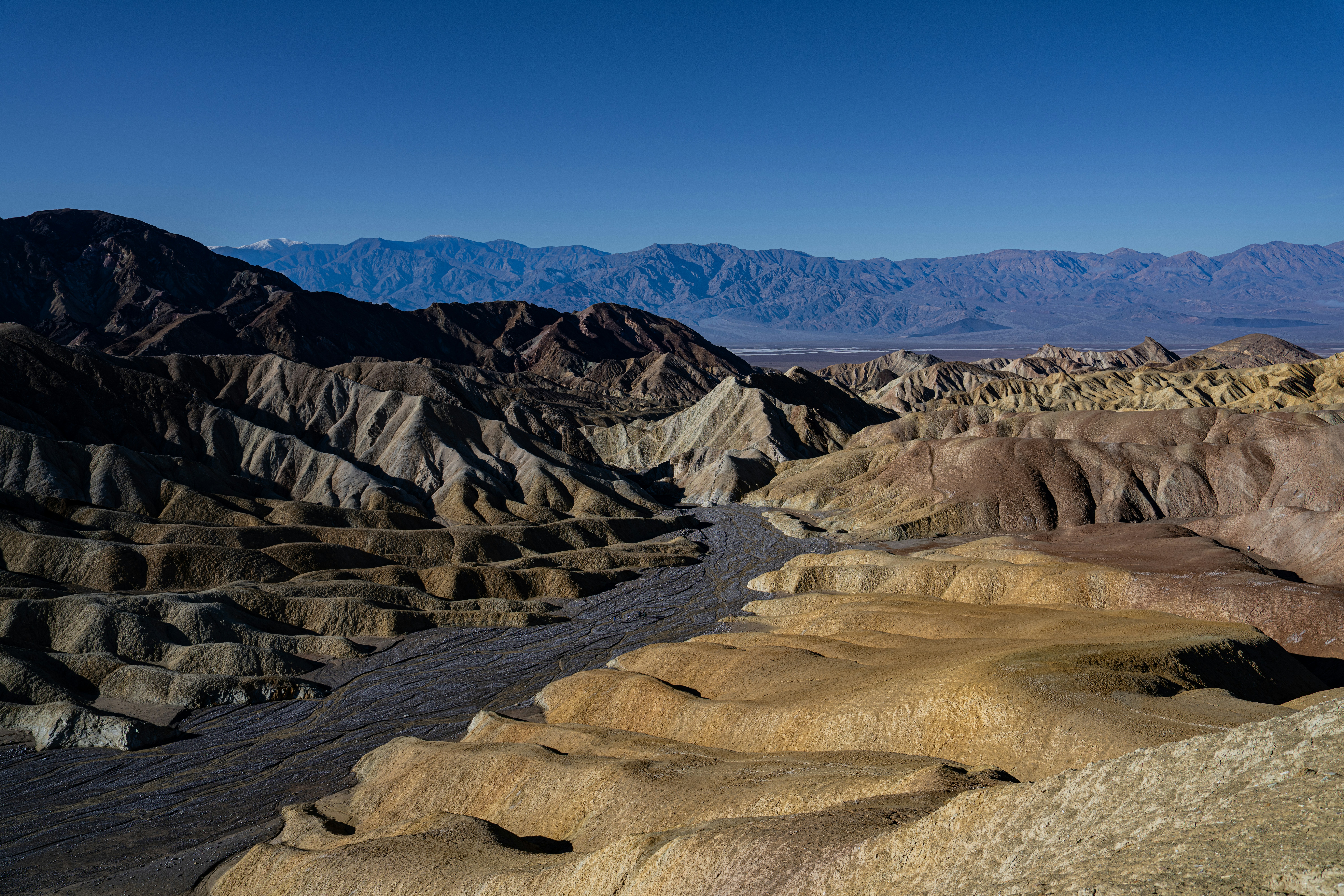 The Hypolithic Hidden World (image credits: unsplash)