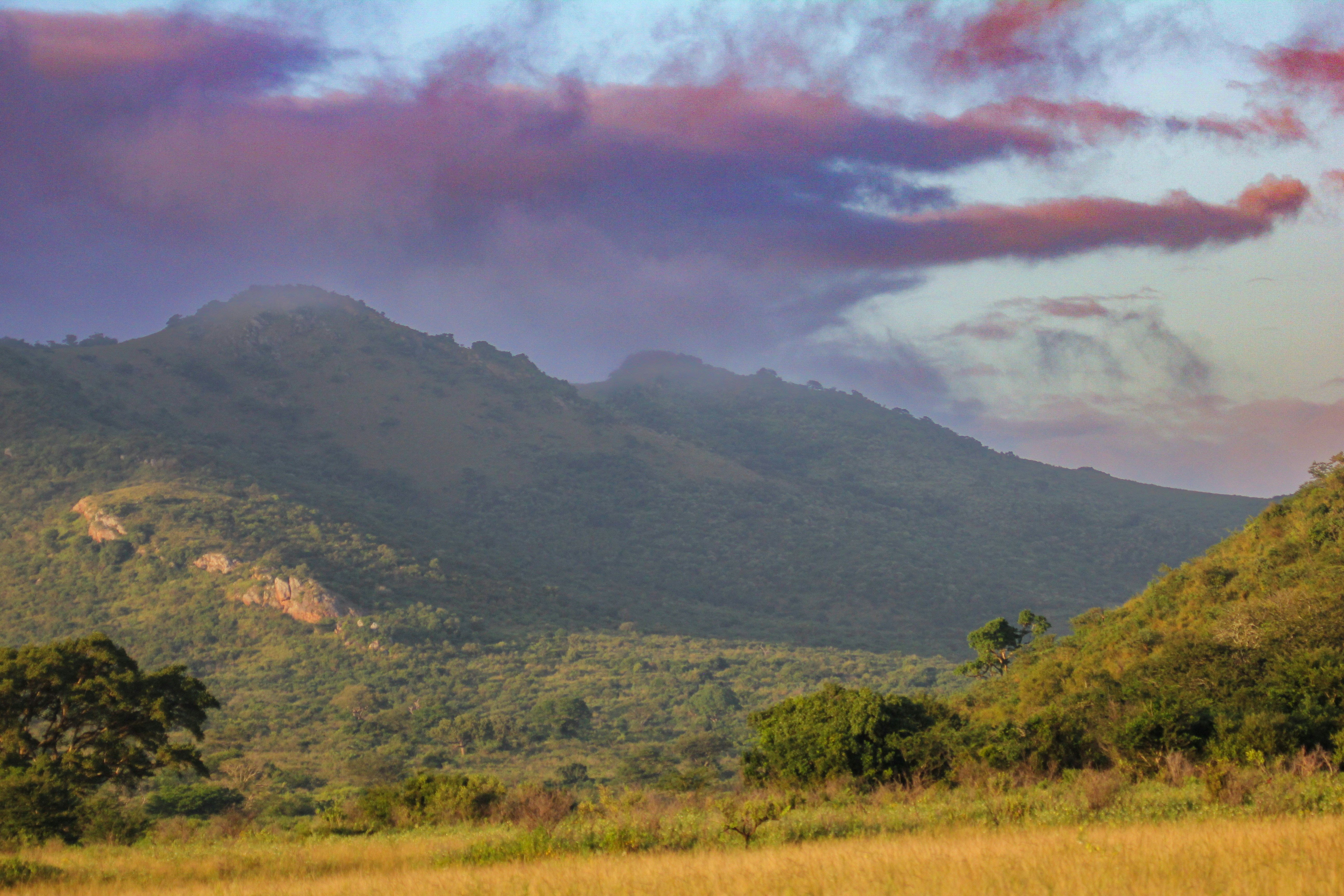 Hluhluwe-iMfolozi Park