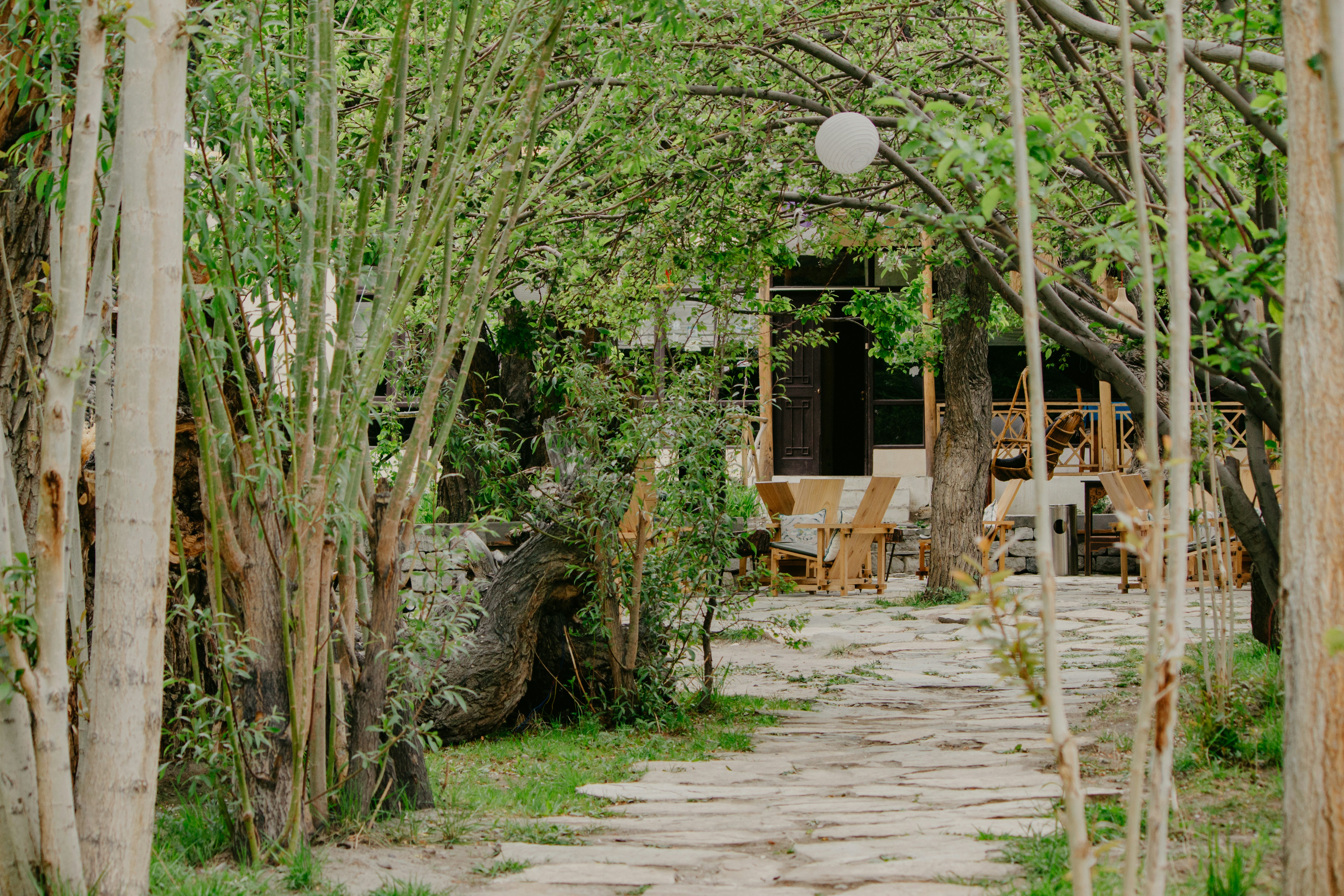 a stone path in the middle of a forest
