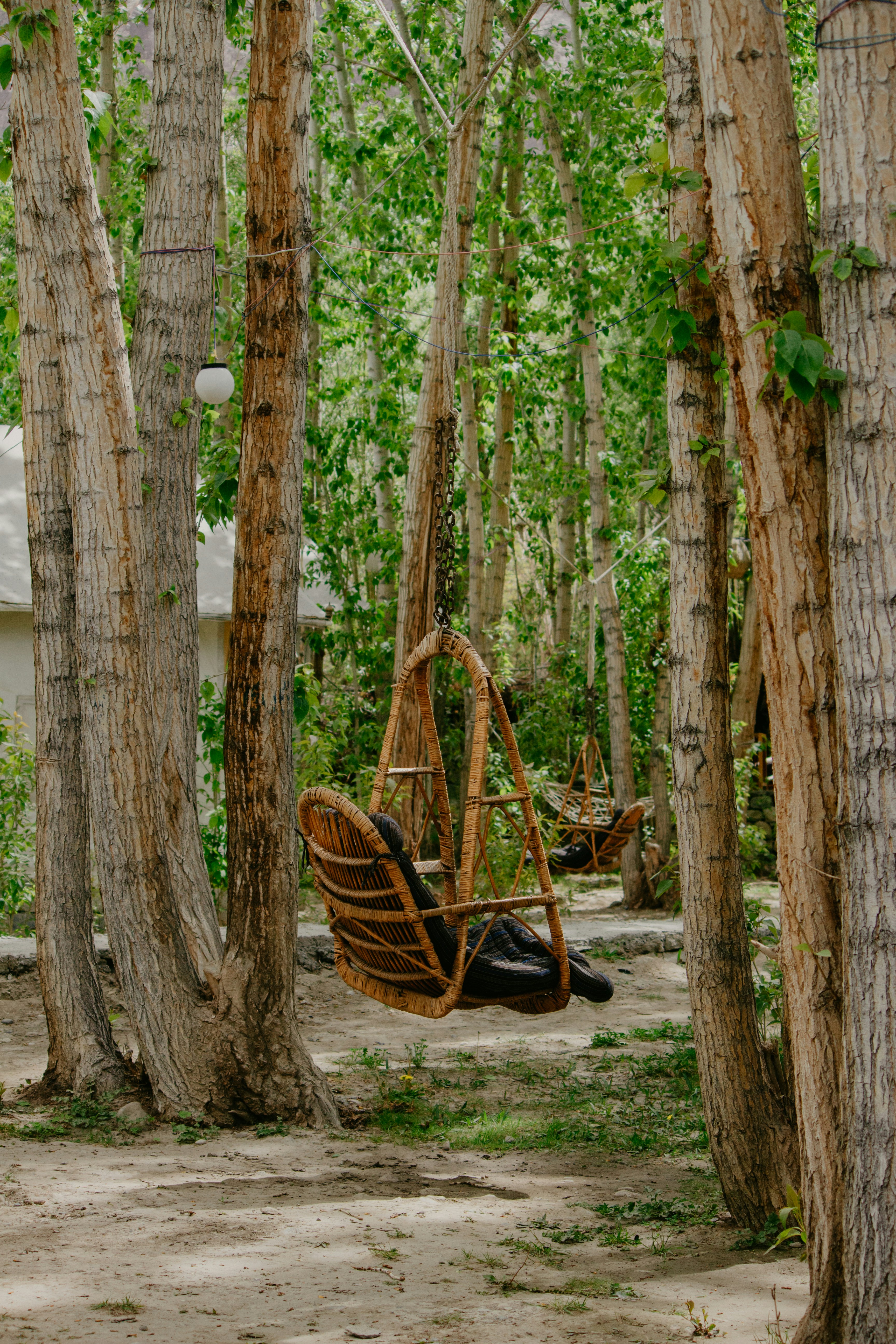 森の真ん中にある木製のブランコ