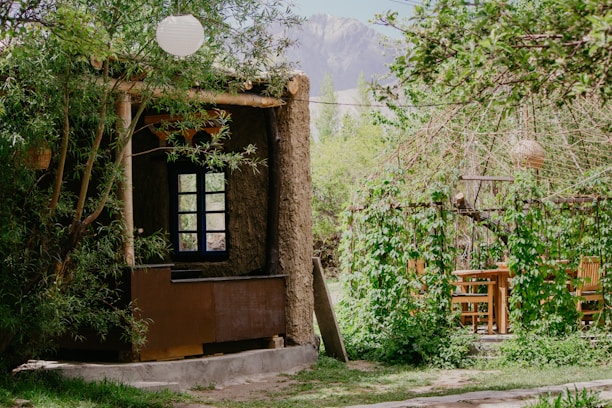 a small building with a window in the middle of a forest