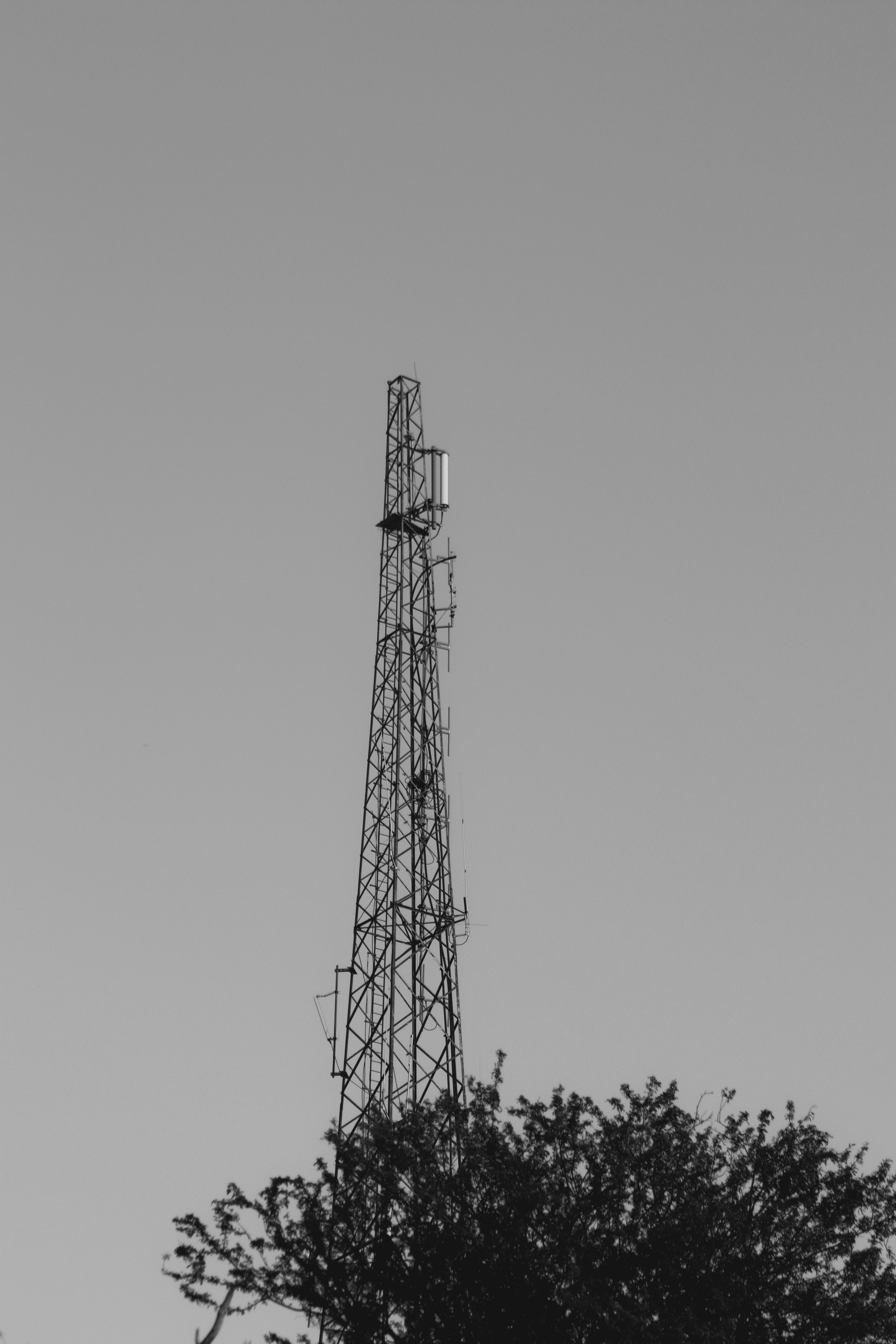 Photo by alihamzatullah